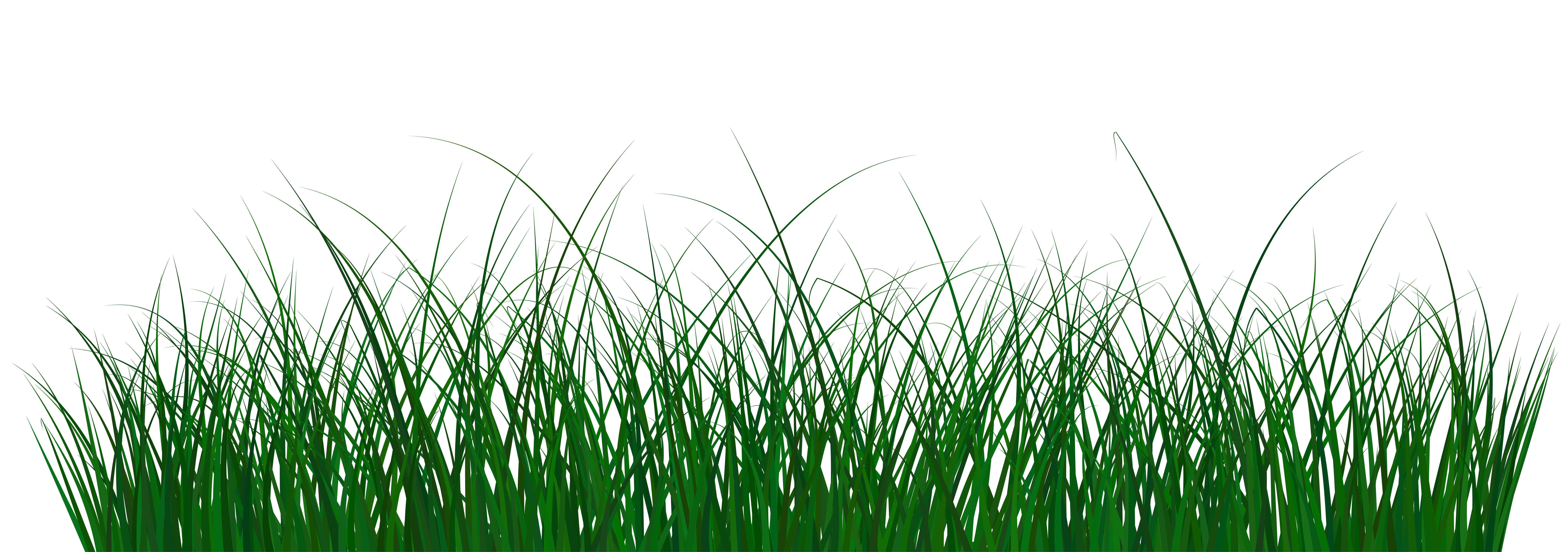 green grass clipart png