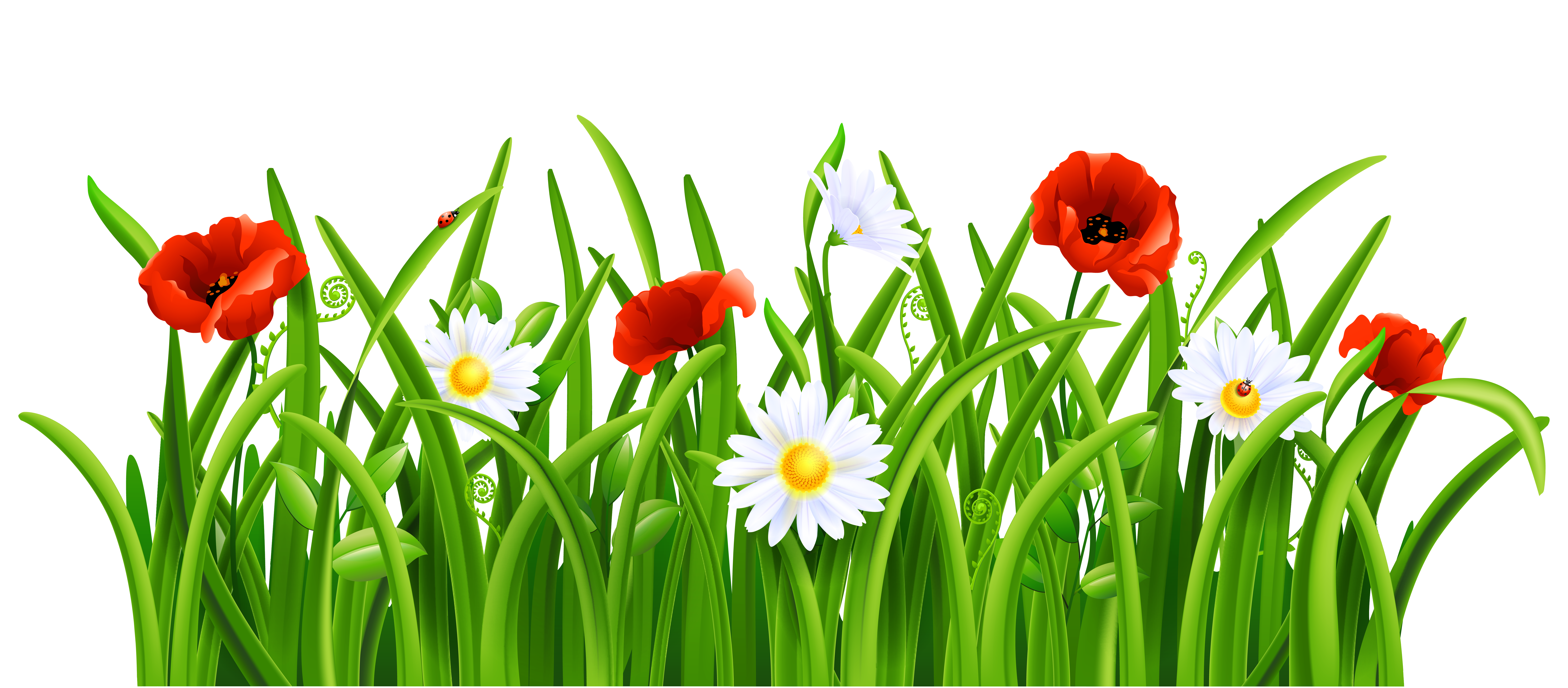 grass with flower clipart