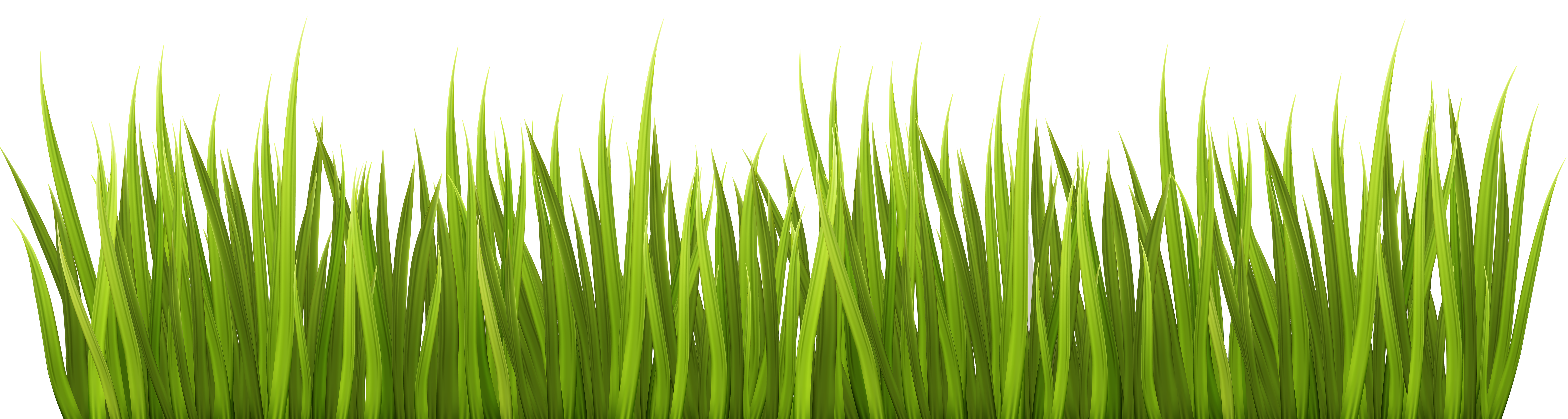 spring grass clip art