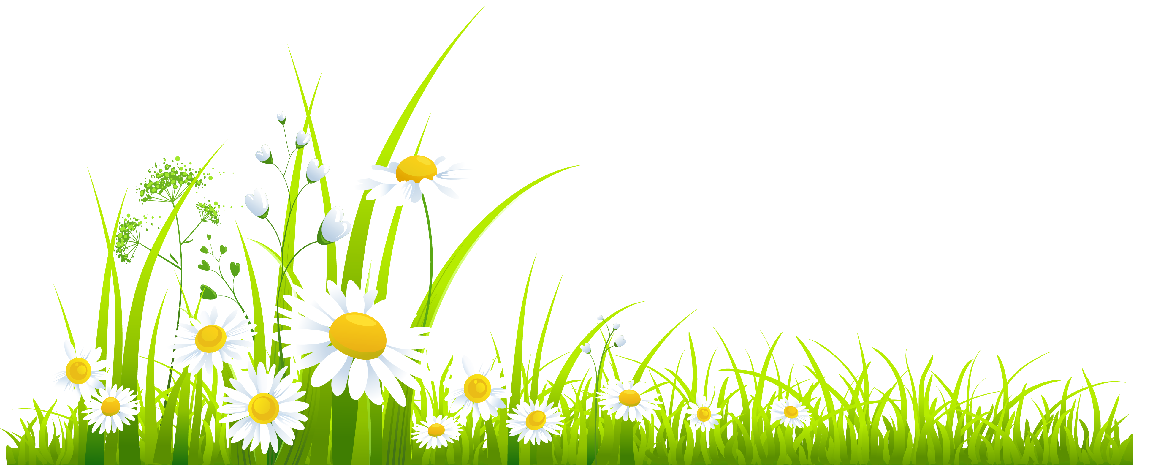 Spring_Grass_with_Camomile_PNG_Clipart