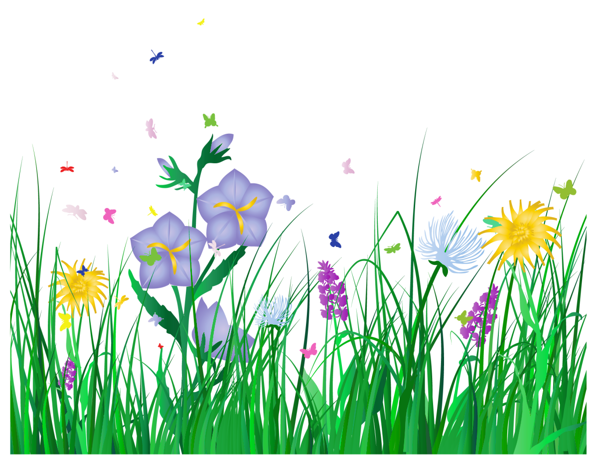 spring clipart border