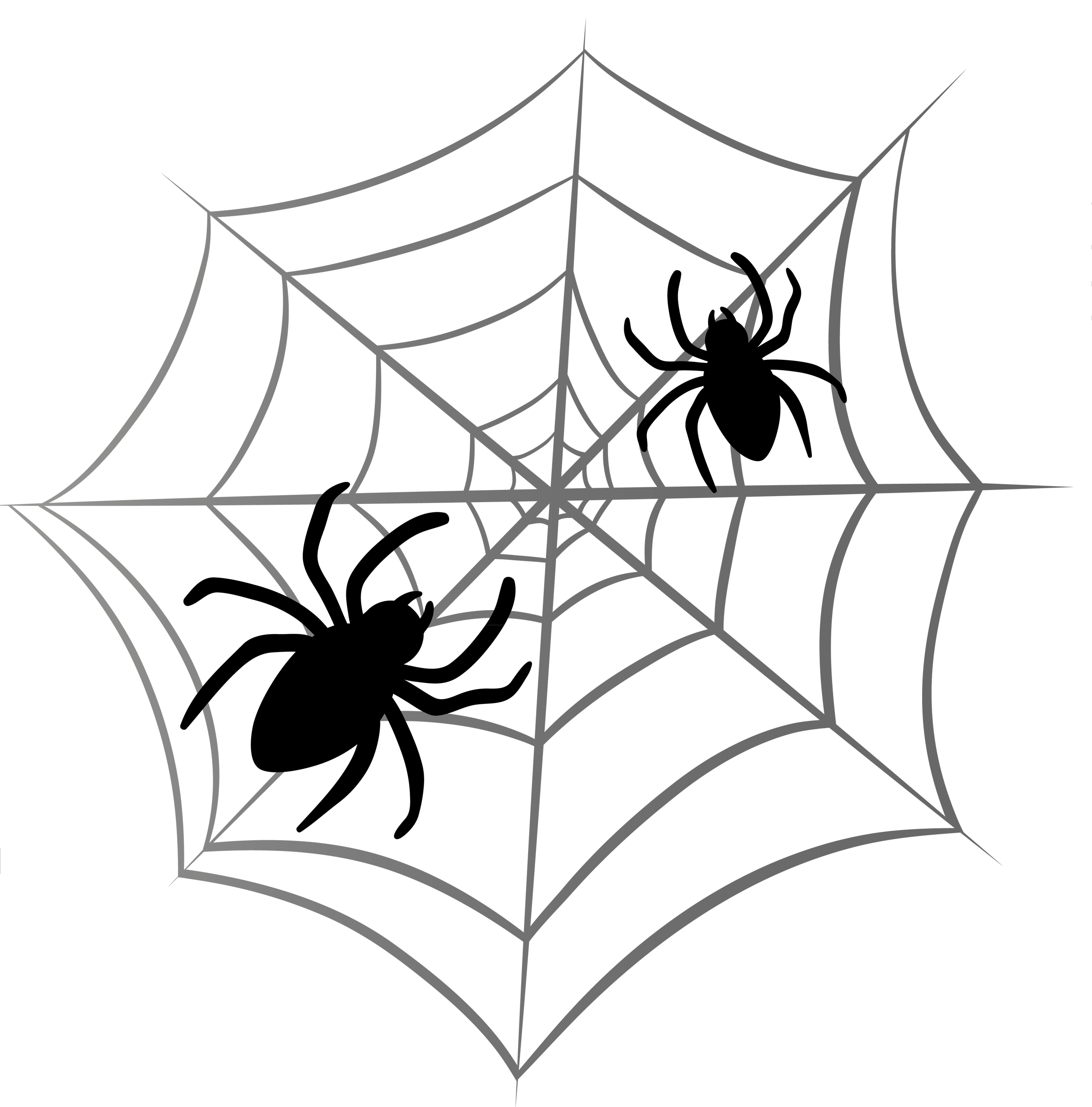 spider web with spider clipart