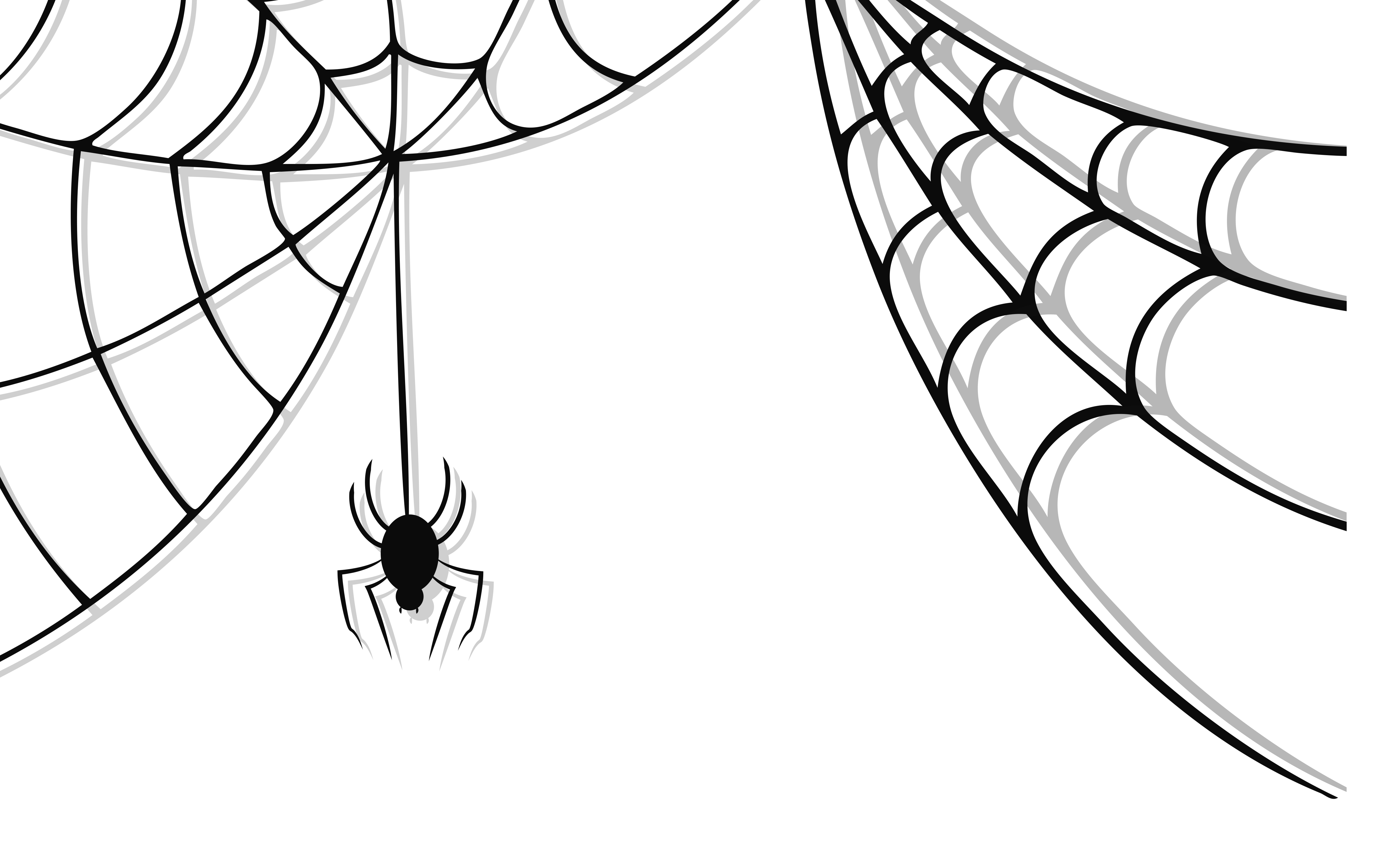 spider clip art