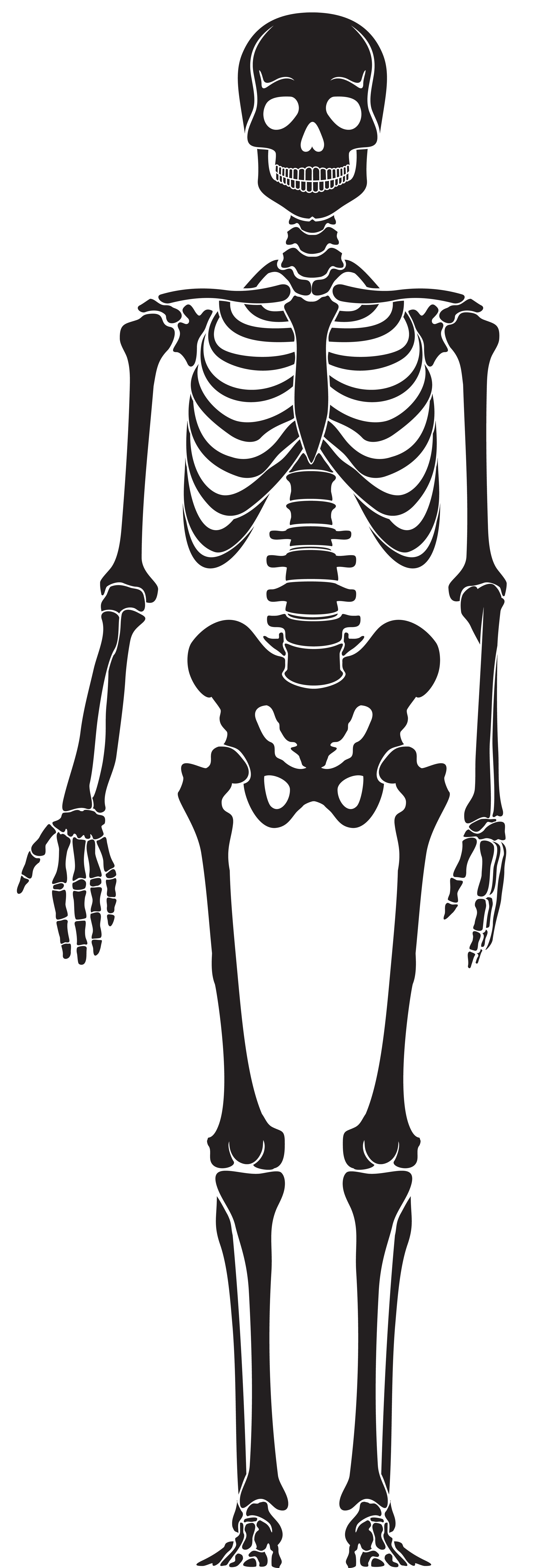 Skeleton Silhouette PNG Clip Art | Gallery Yopriceville ...