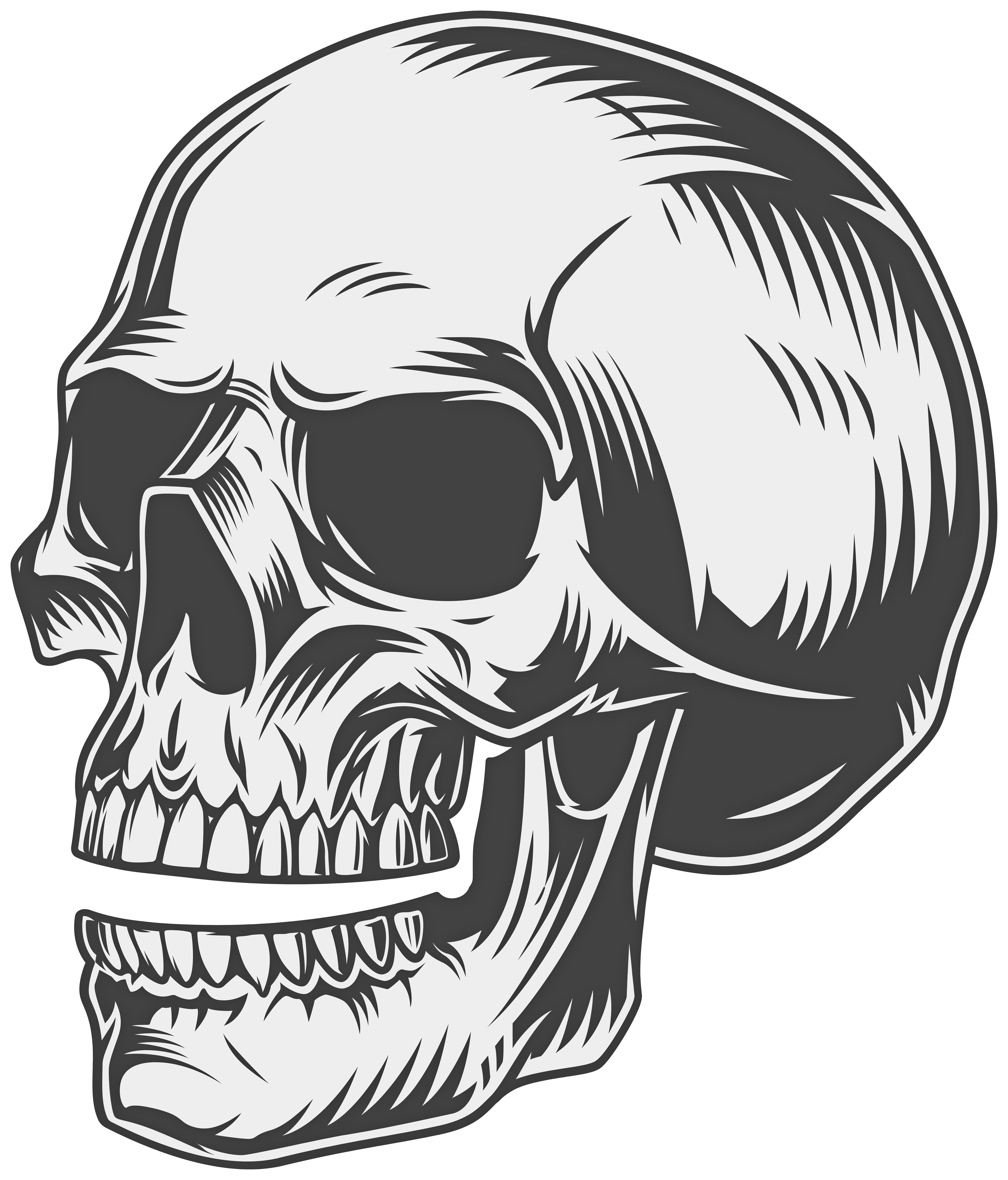skull clip art
