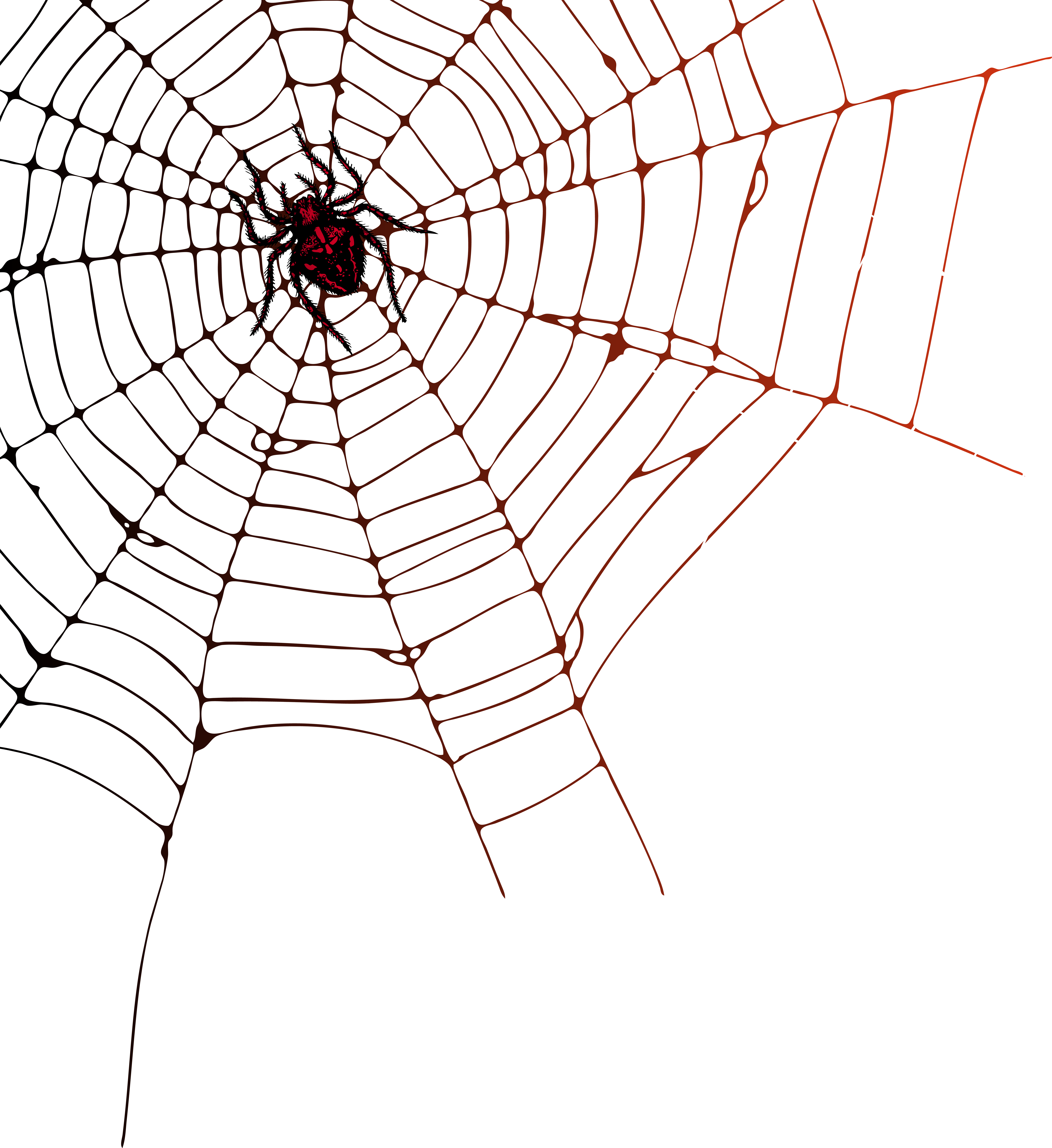 Spider Web PNG Clip Art Image 1962064617 ?m=1534548575