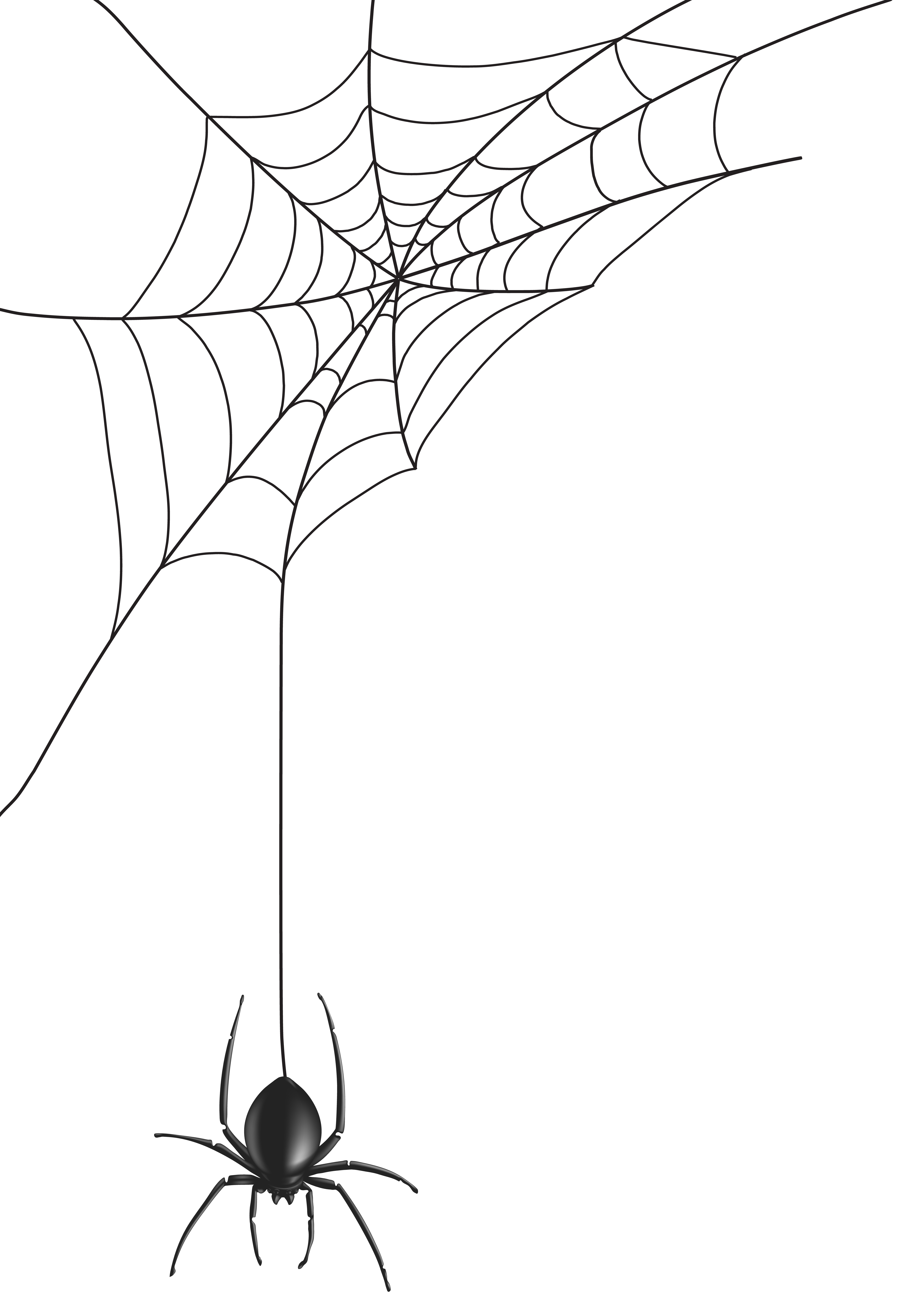 Spider Web Clipart Png
