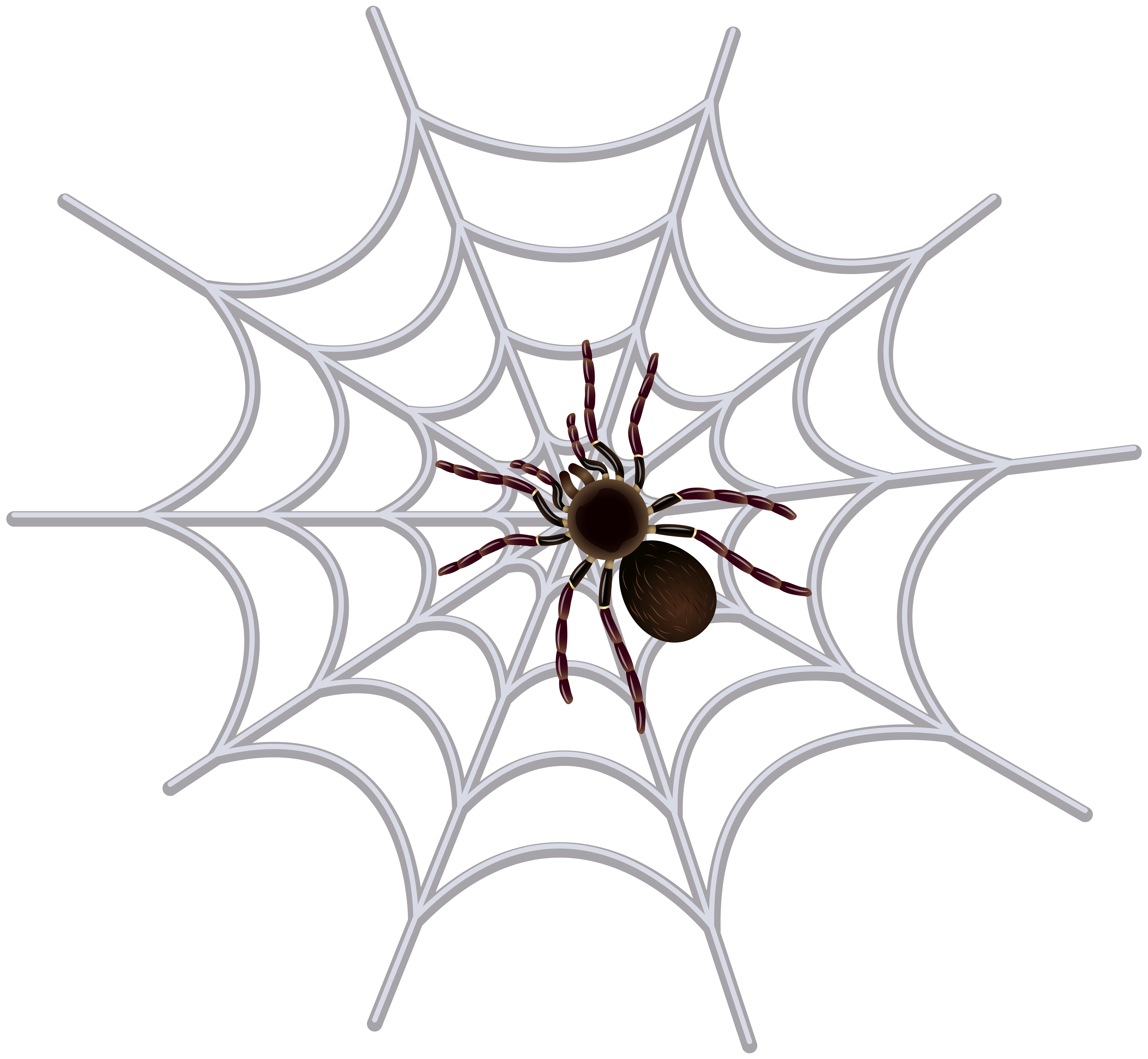 Spider Web Corner Png Clip Art Image Gallery Yopricev - vrogue.co