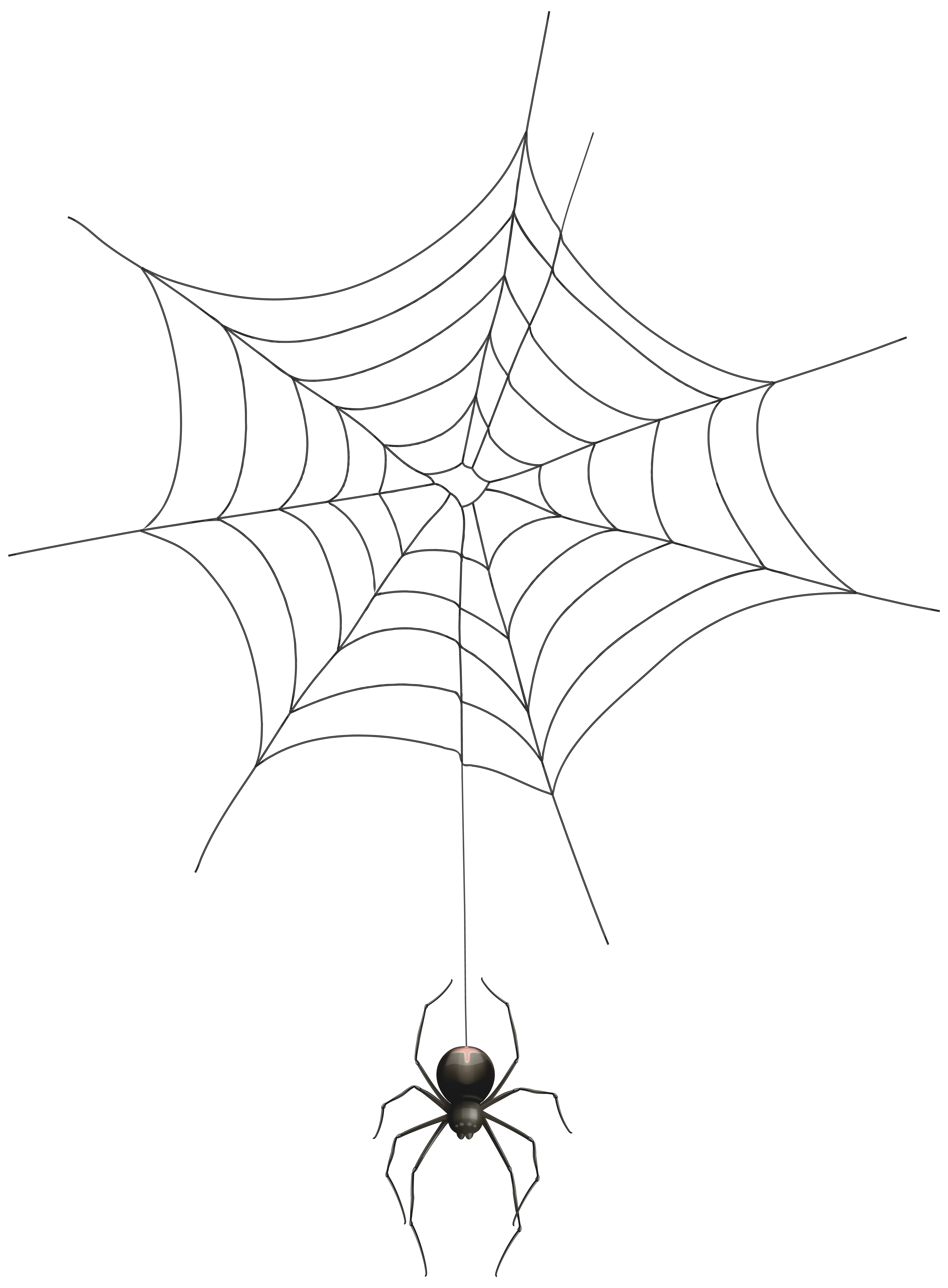 Spider and Web Transparent Clip Art Image Spider and Web Transparent Clip Art Image