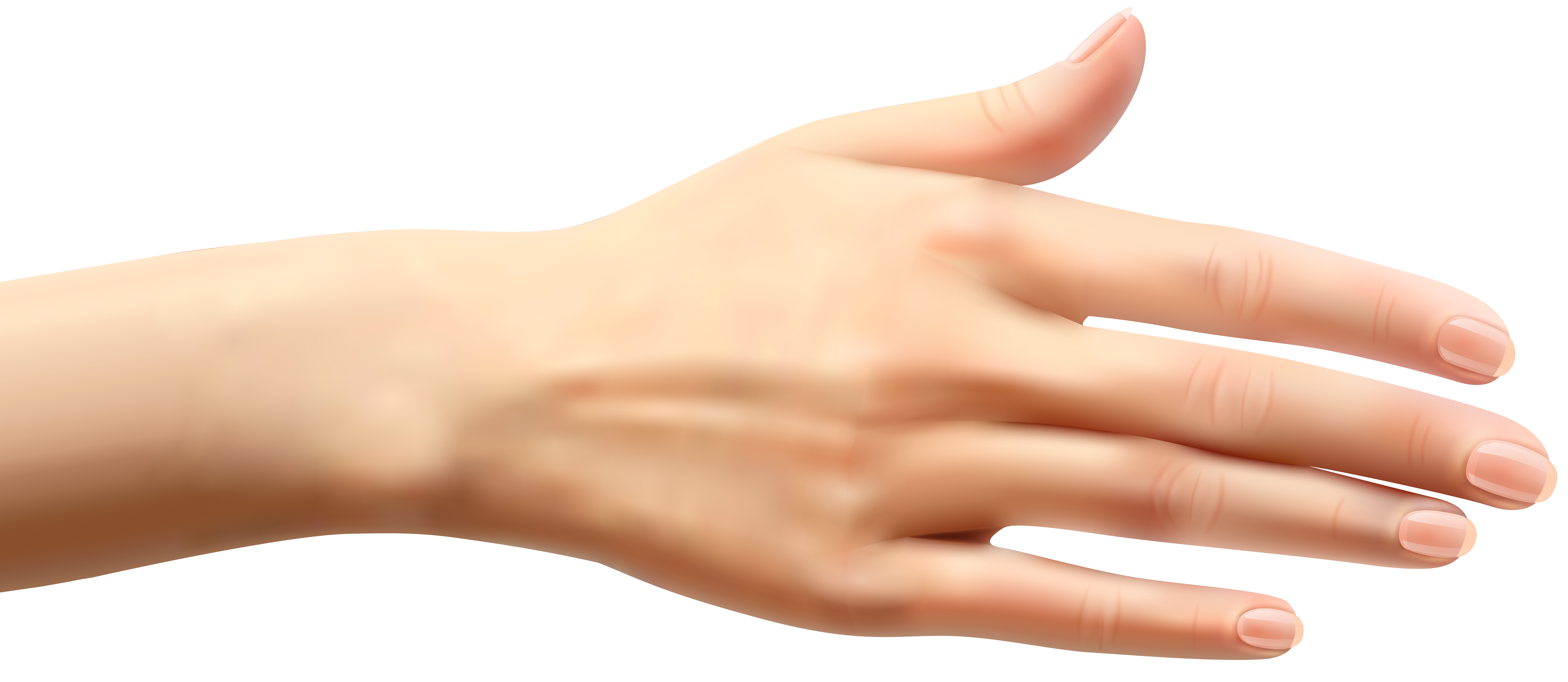 female hand png clip