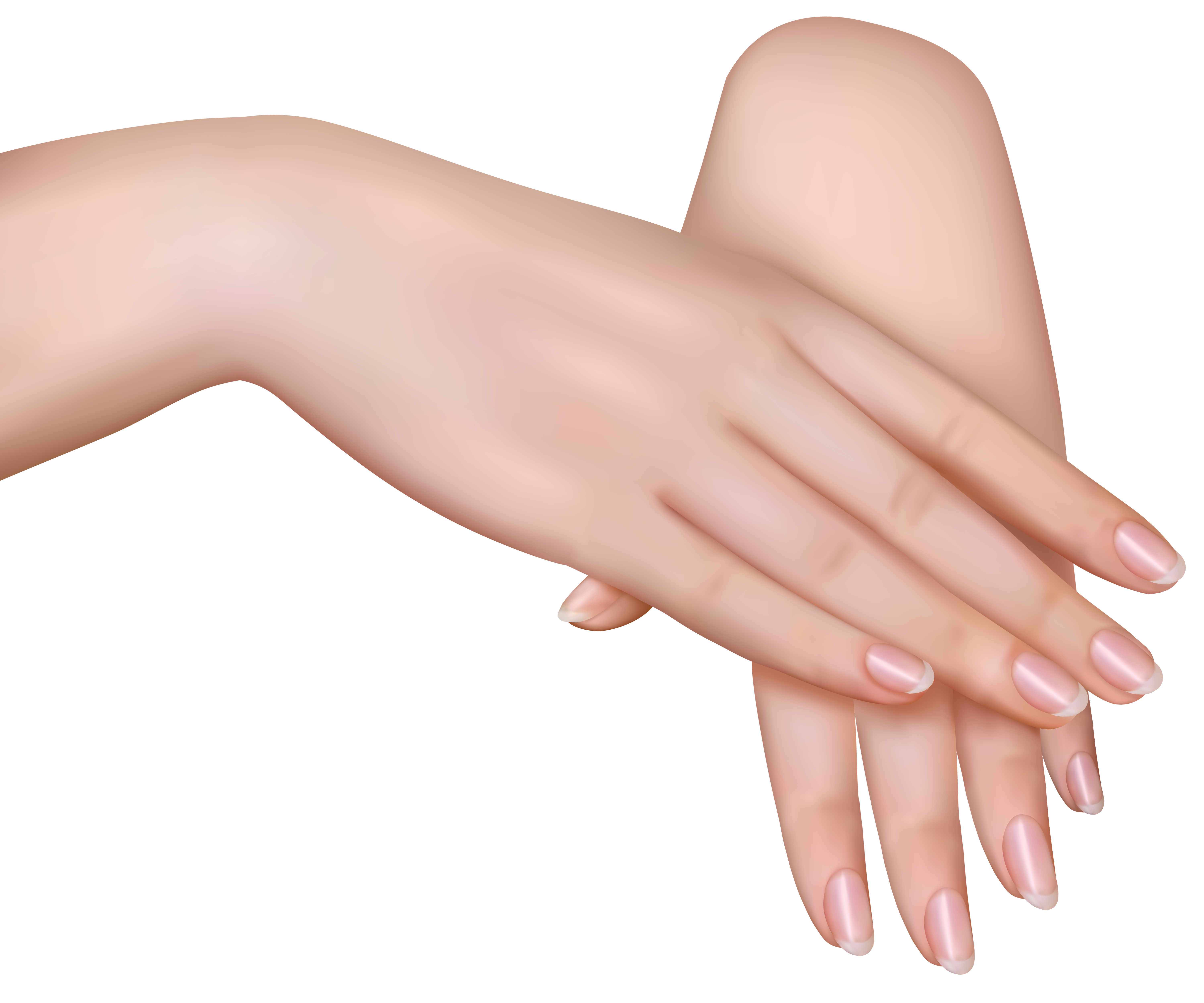 Female Hands PNG Clipart Image | Gallery Yopriceville - High-Quality