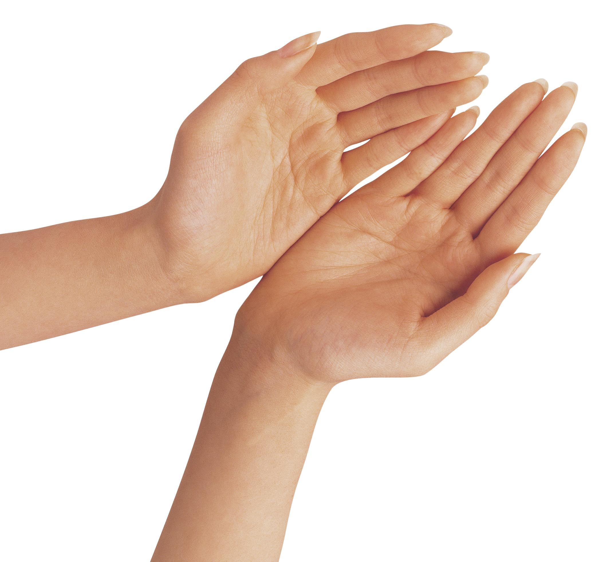 two hands logo png