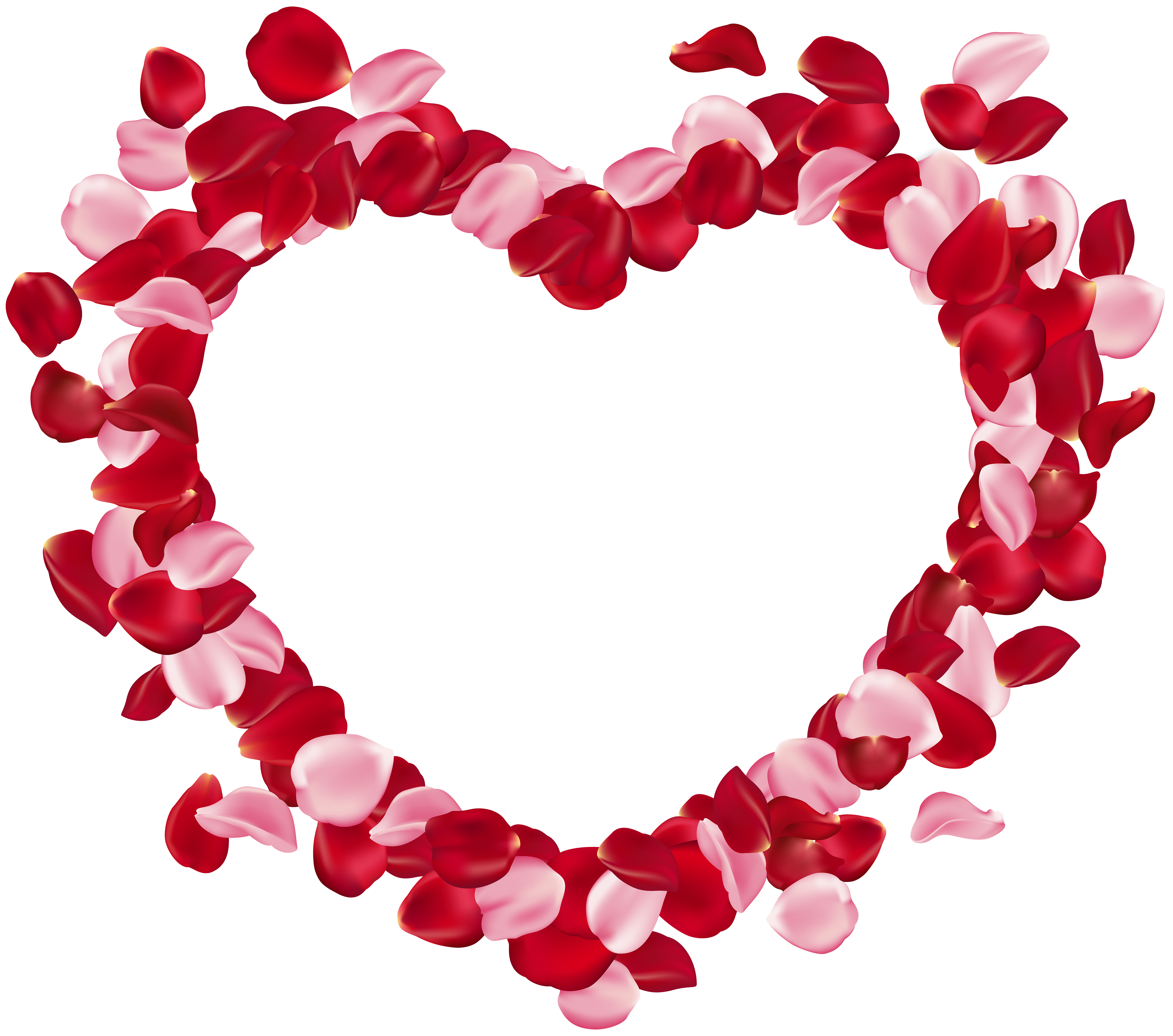 Rose Petal Red PNG Clip Art Image  Rose petals, Red rose petals, Beautiful  rose flowers