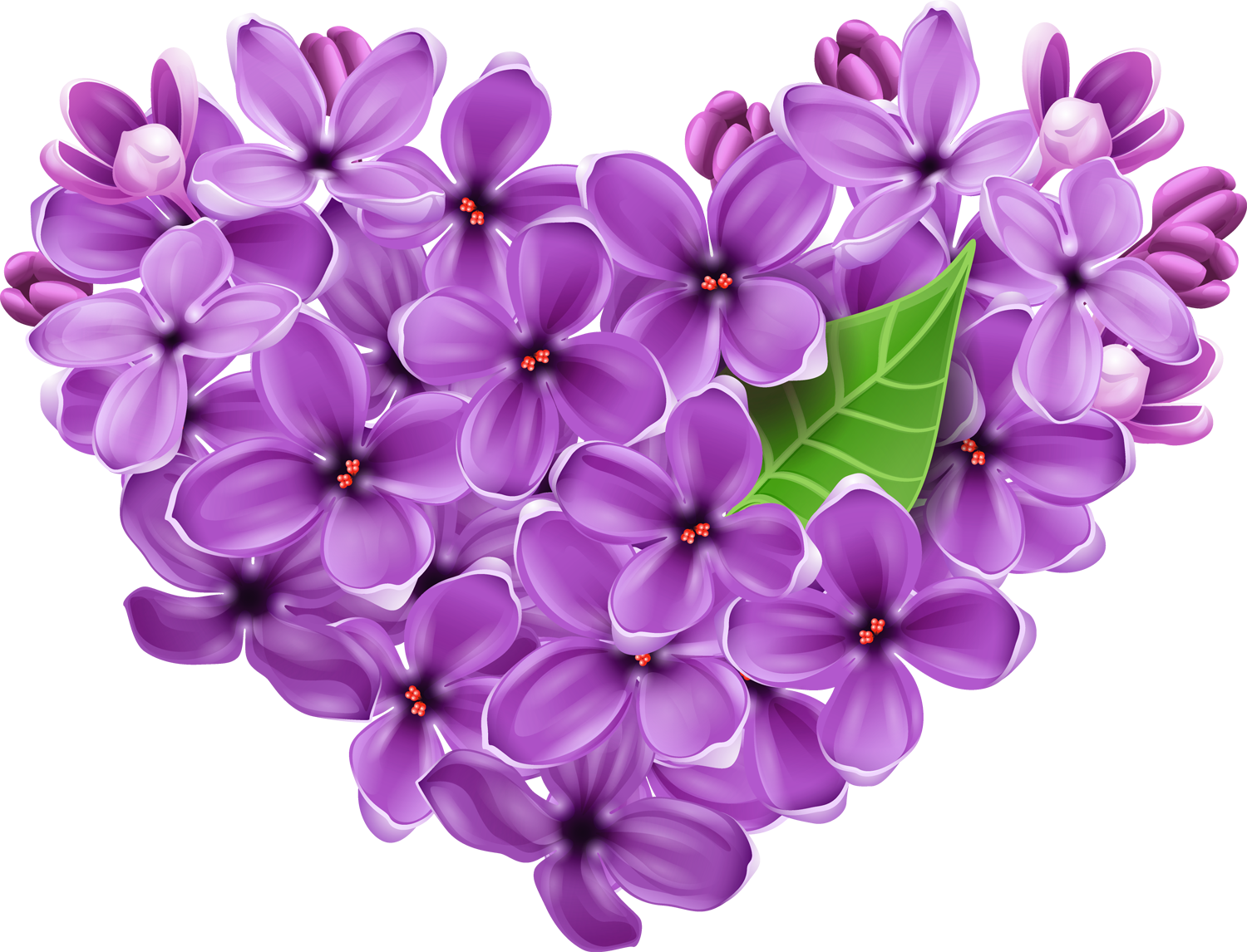 Purple Lilac Heart PNG Picture | Gallery Yopriceville - High-Quality