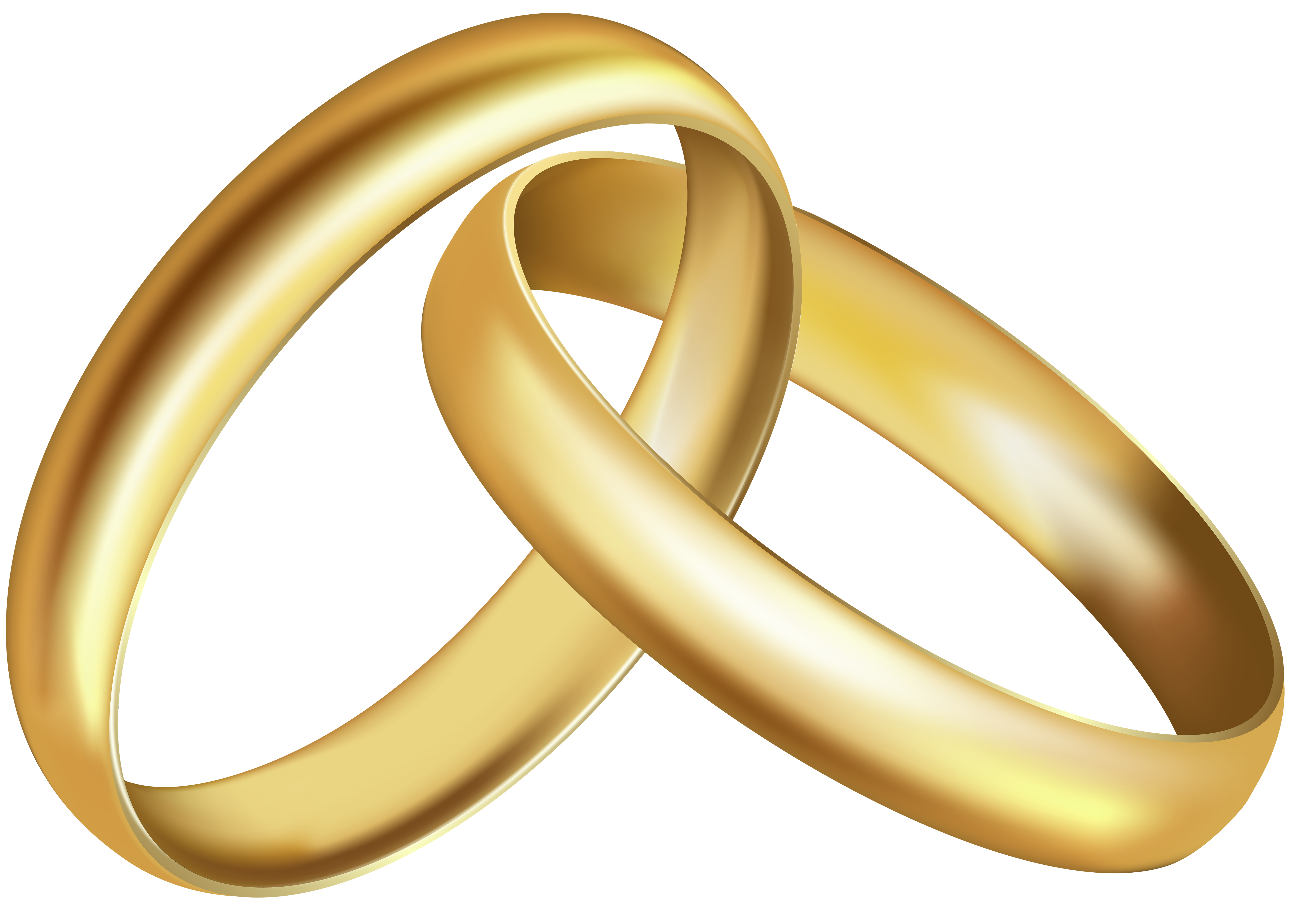Wedding Rings PNG Clipart | Gallery Yopriceville - High-Quality Free
