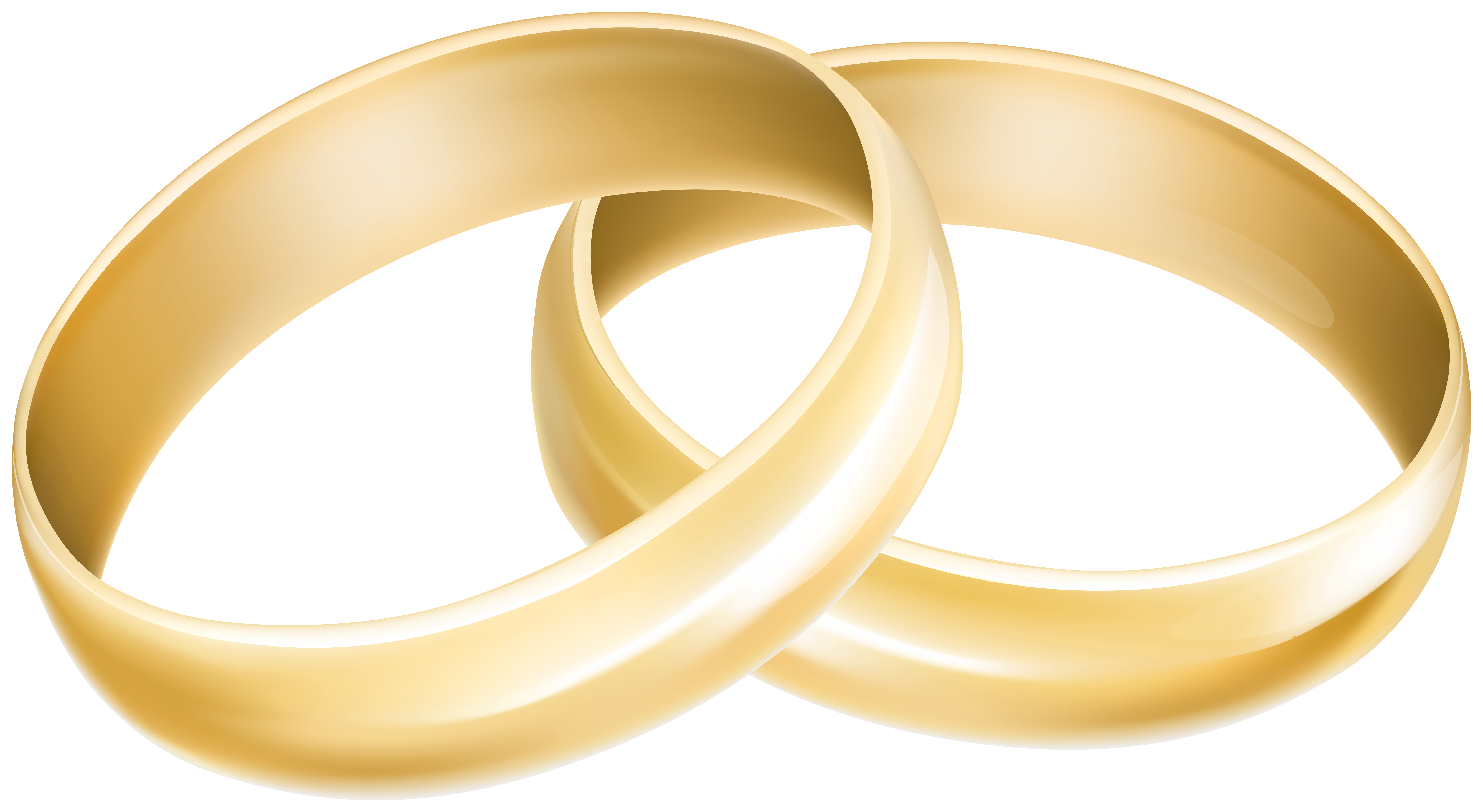 Wedding Rings Transparent Image​