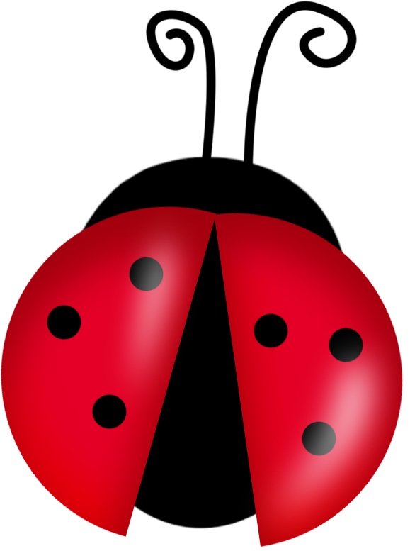 Lady Bug PNG Clipart​  Gallery Yopriceville - High-Quality Free Images and  Transparent PNG Clipart