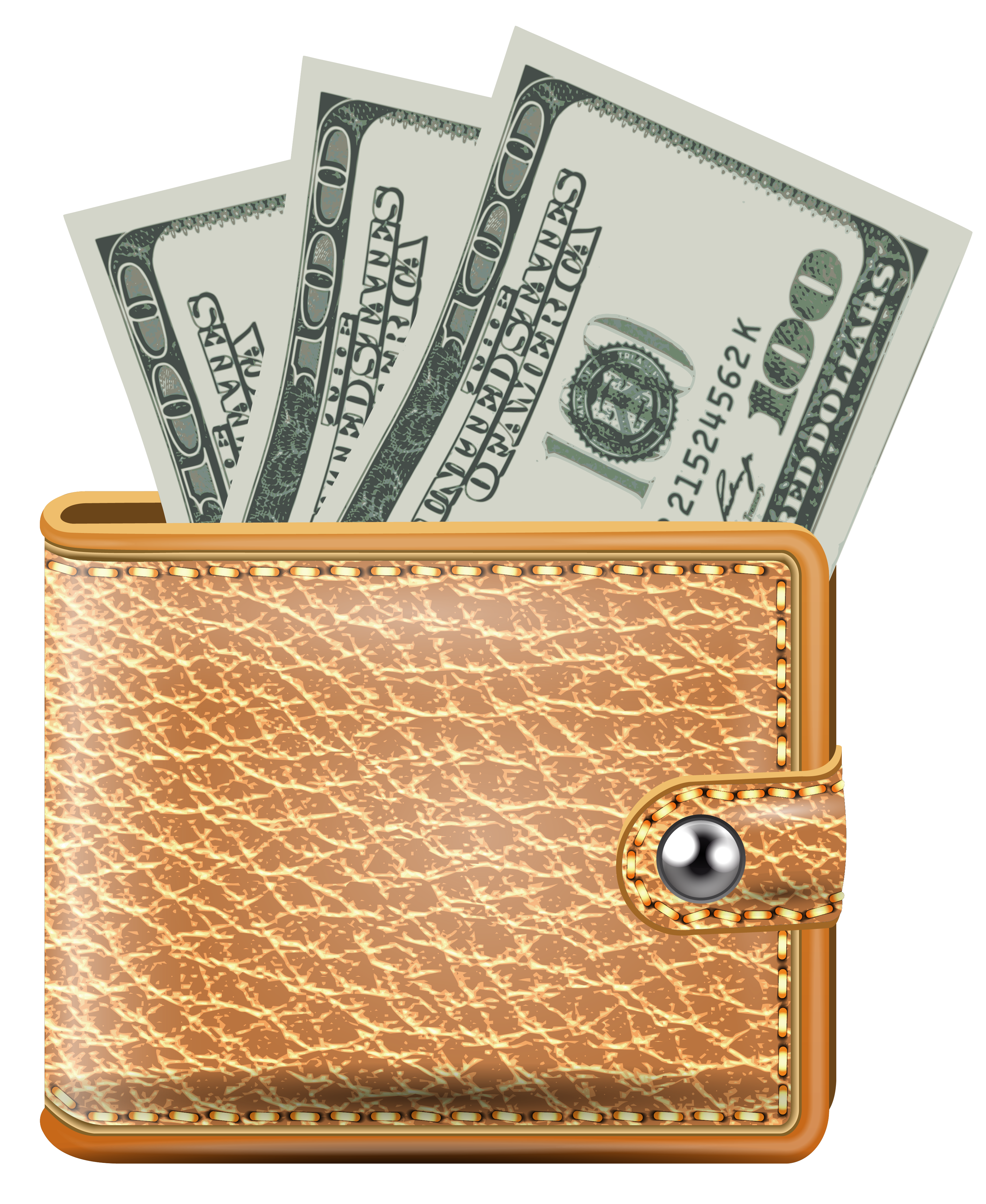 transparent wallet with banknotes