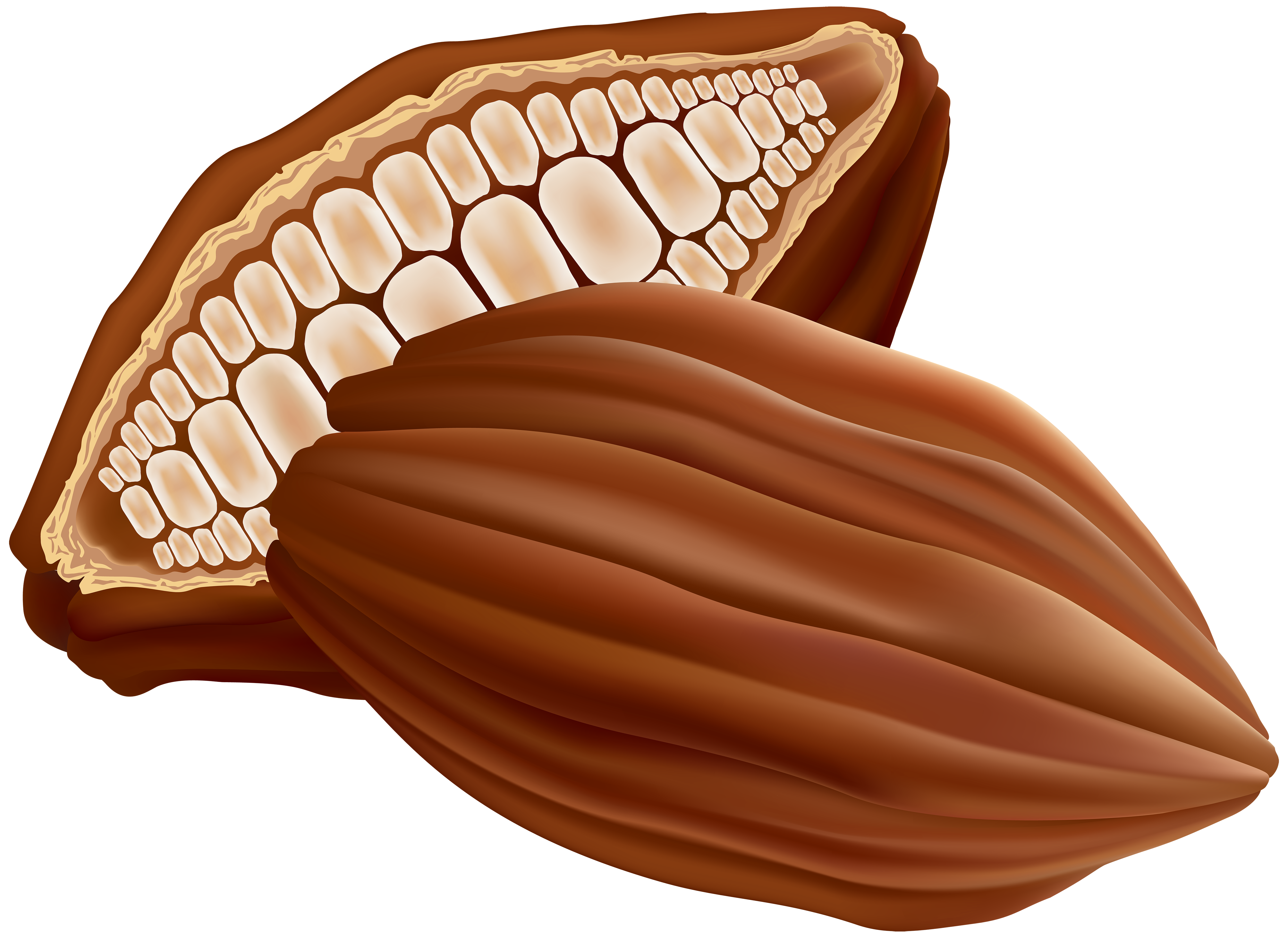 Cocoa PNG Clip Art Image | Gallery Yopriceville - High-Quality Images