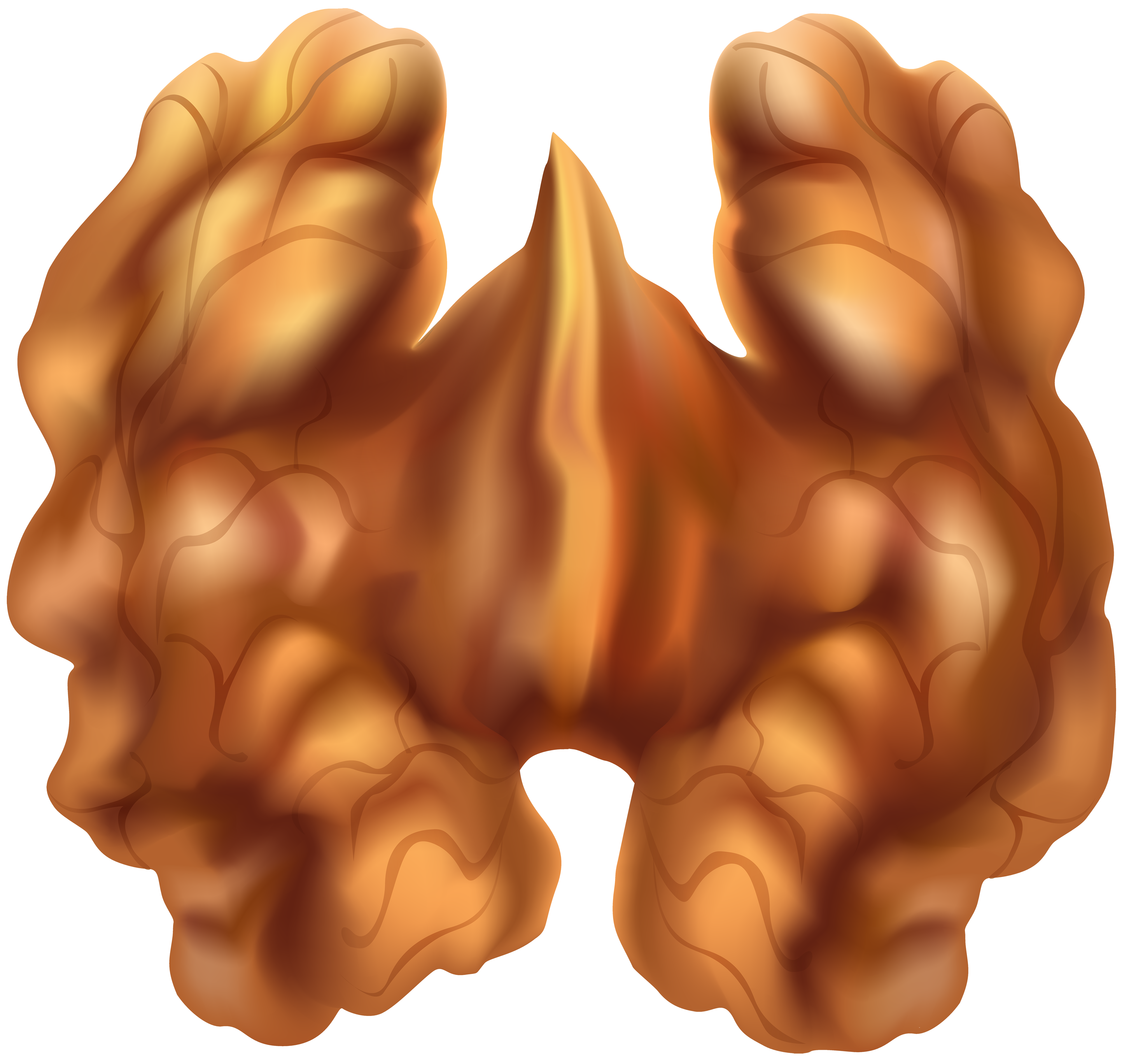 Download Half Walnut PNG Clip Art | Gallery Yopriceville - High ...