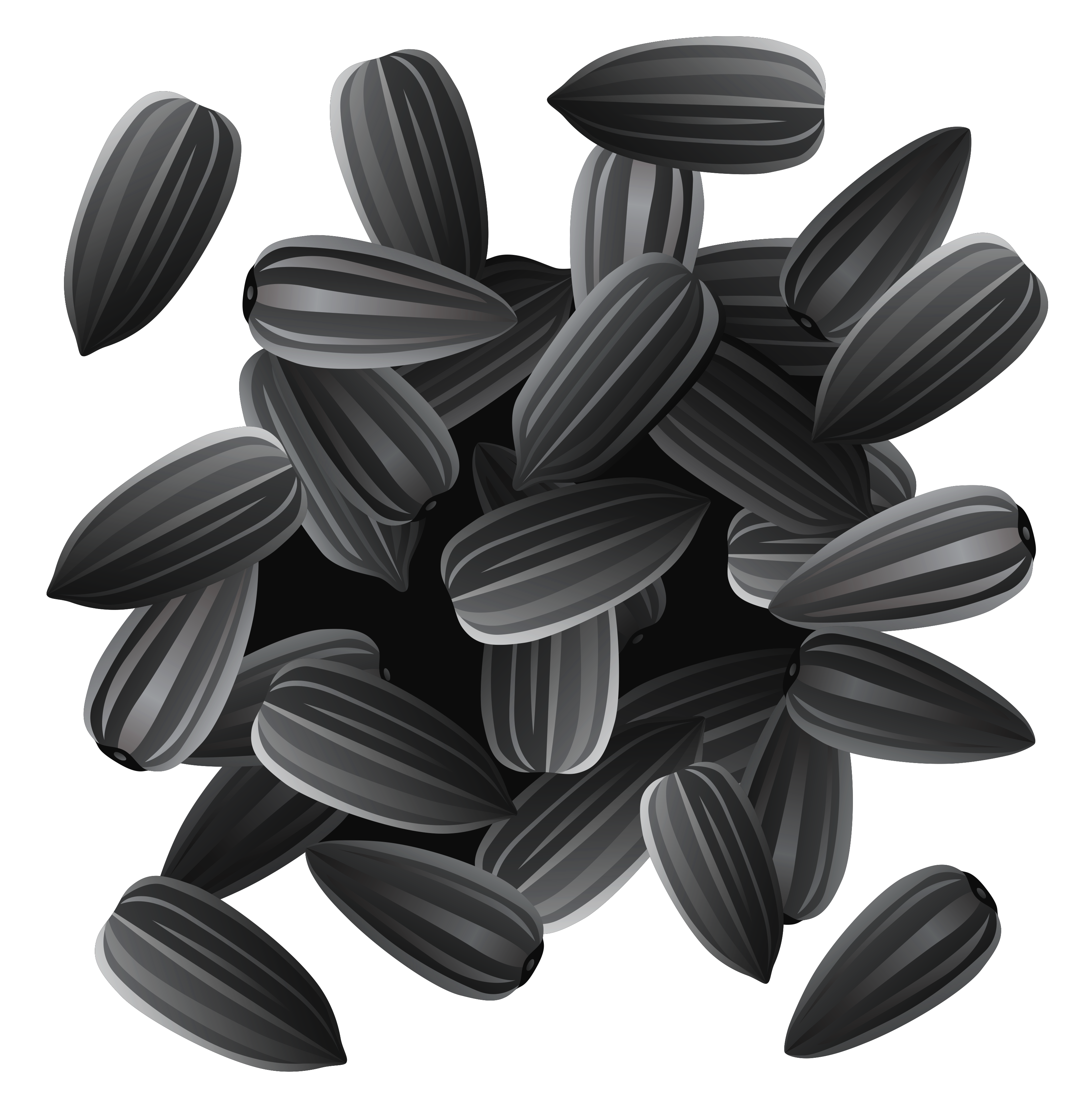 Sunflower Seeds PNG Clipart Image | Gallery Yopriceville - High ... for Clipart Sunflower Black And White
174mzq Sunflower Seeds PNG Clipart Image | Gallery Yopriceville - High ... for Clipart Sunflower Black And White
174mzq