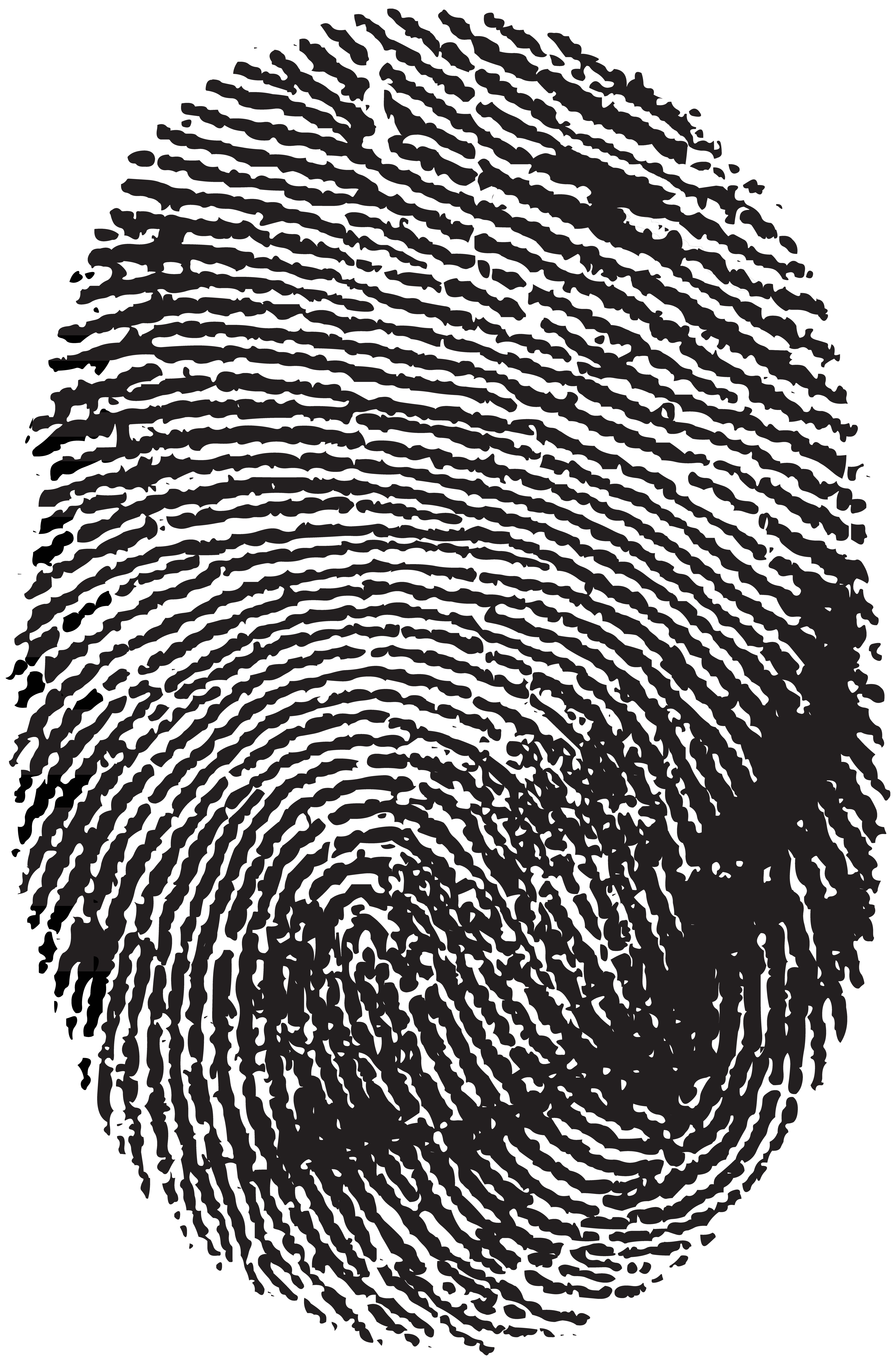 fingerprint png clip art