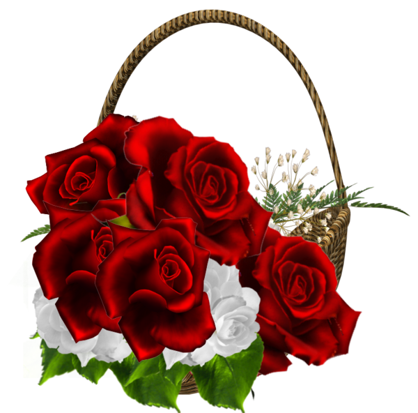 لبى الورد وانفاسه Beautiful_Red_Roses_