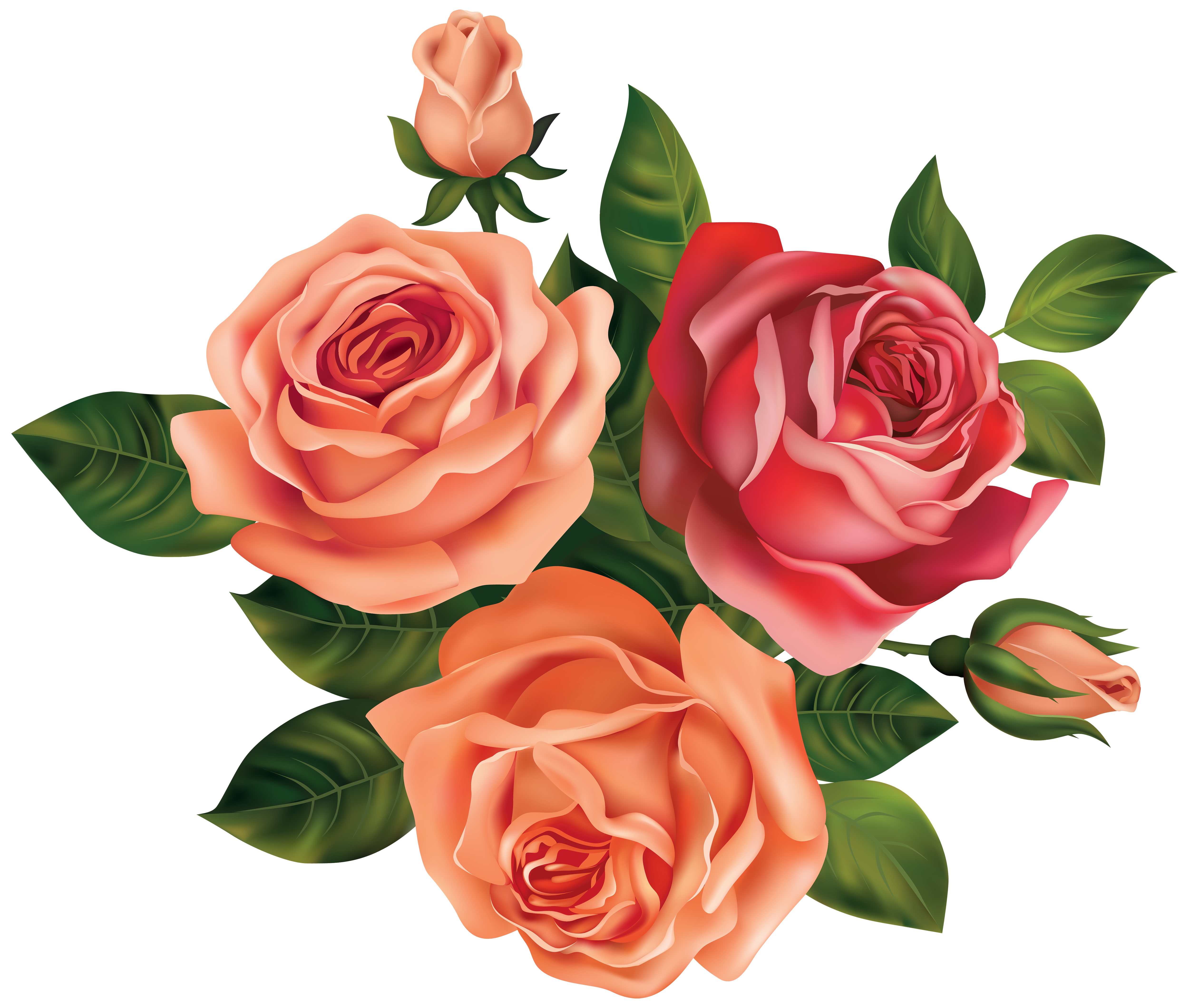 Beautiful Roses Clipart Image | Gallery Yopriceville - High-Quality