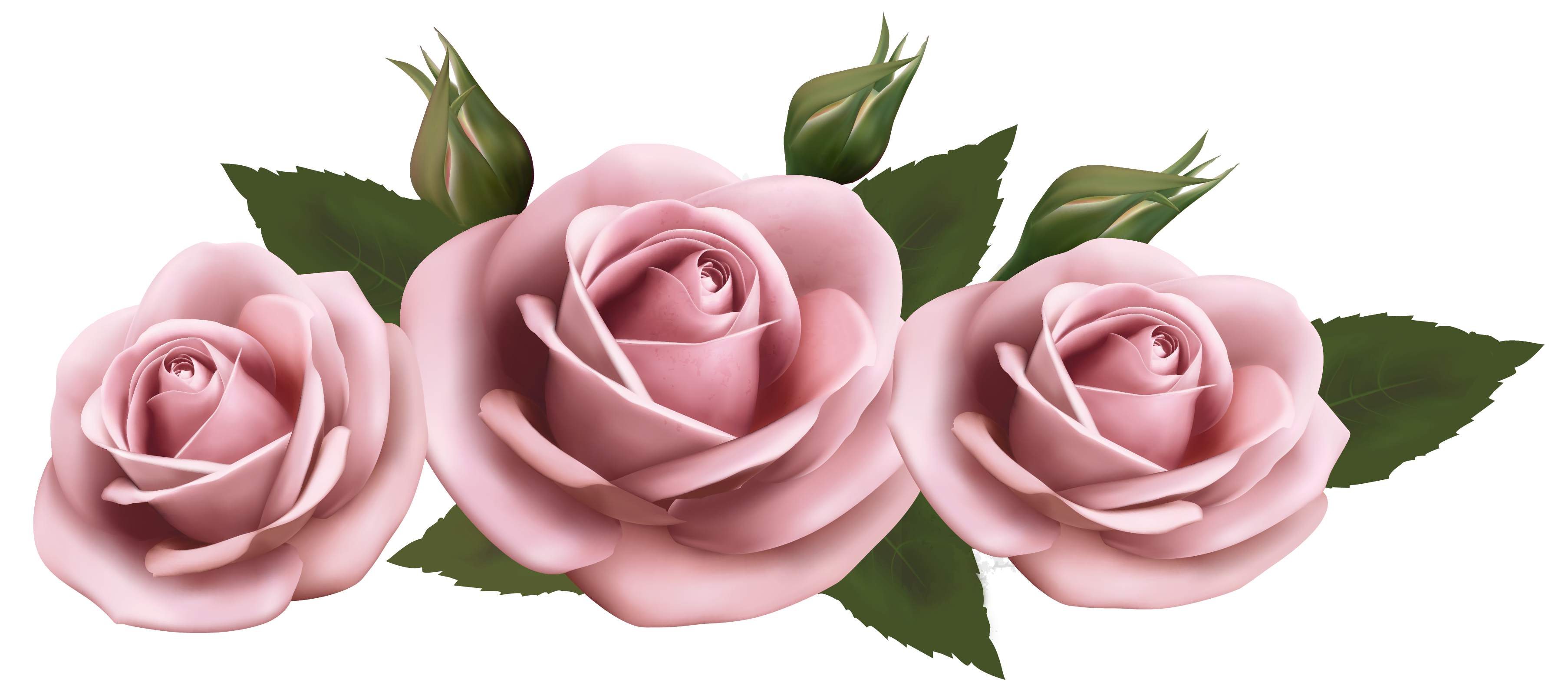 Image result for roses png