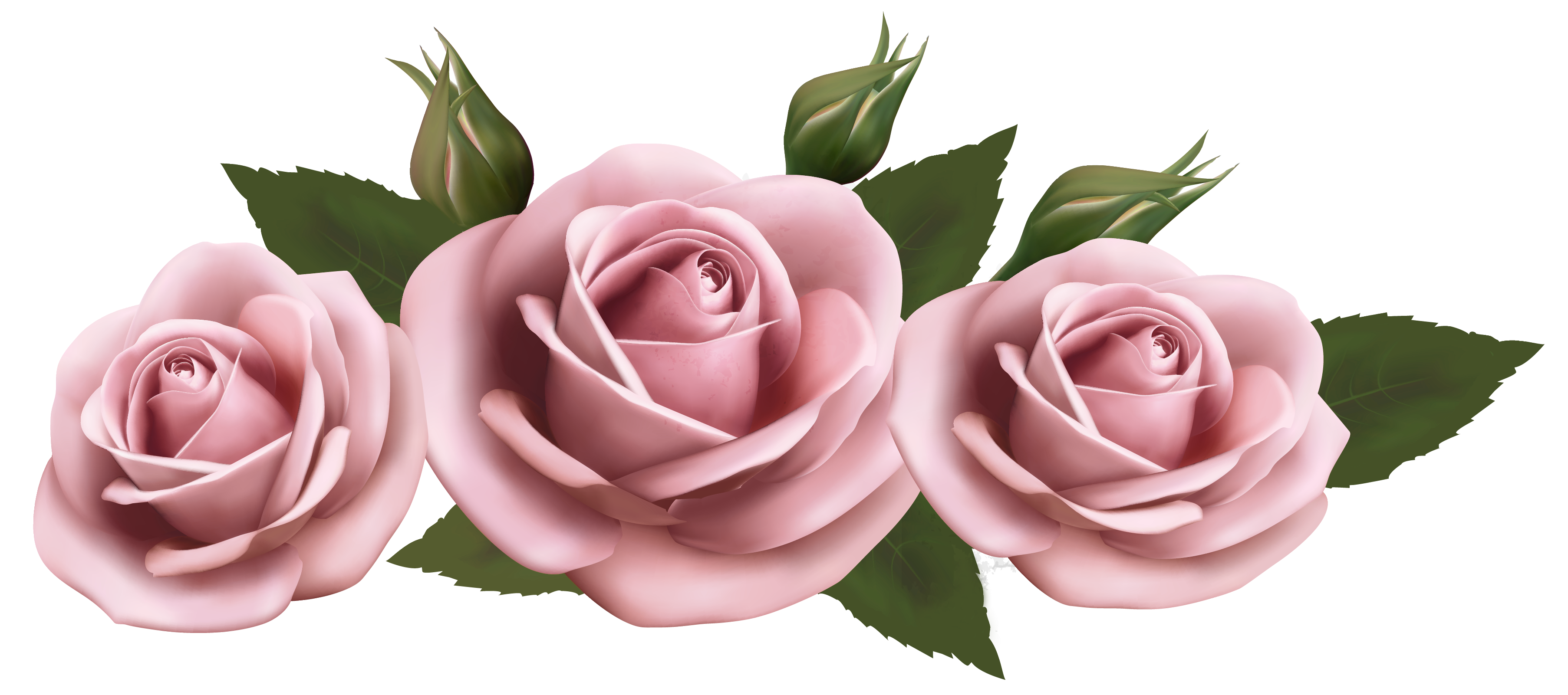 Happy Birthday with Pink Roses​  Gallery Yopriceville - High-Quality Free  Images and Transparent PNG Clipart