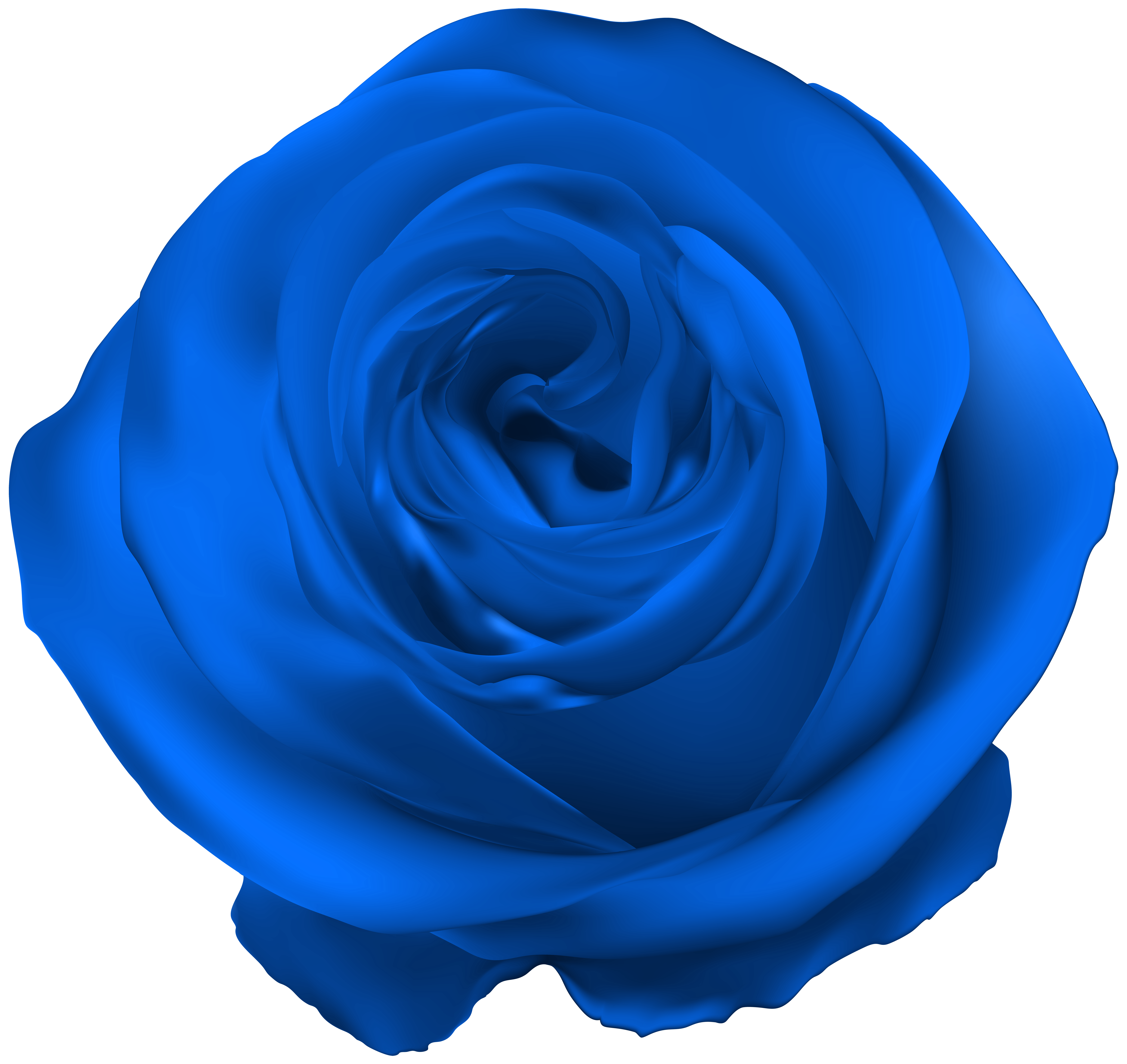 Blue Rose PNG Clip Art | Gallery Yopriceville - High-Quality Images and