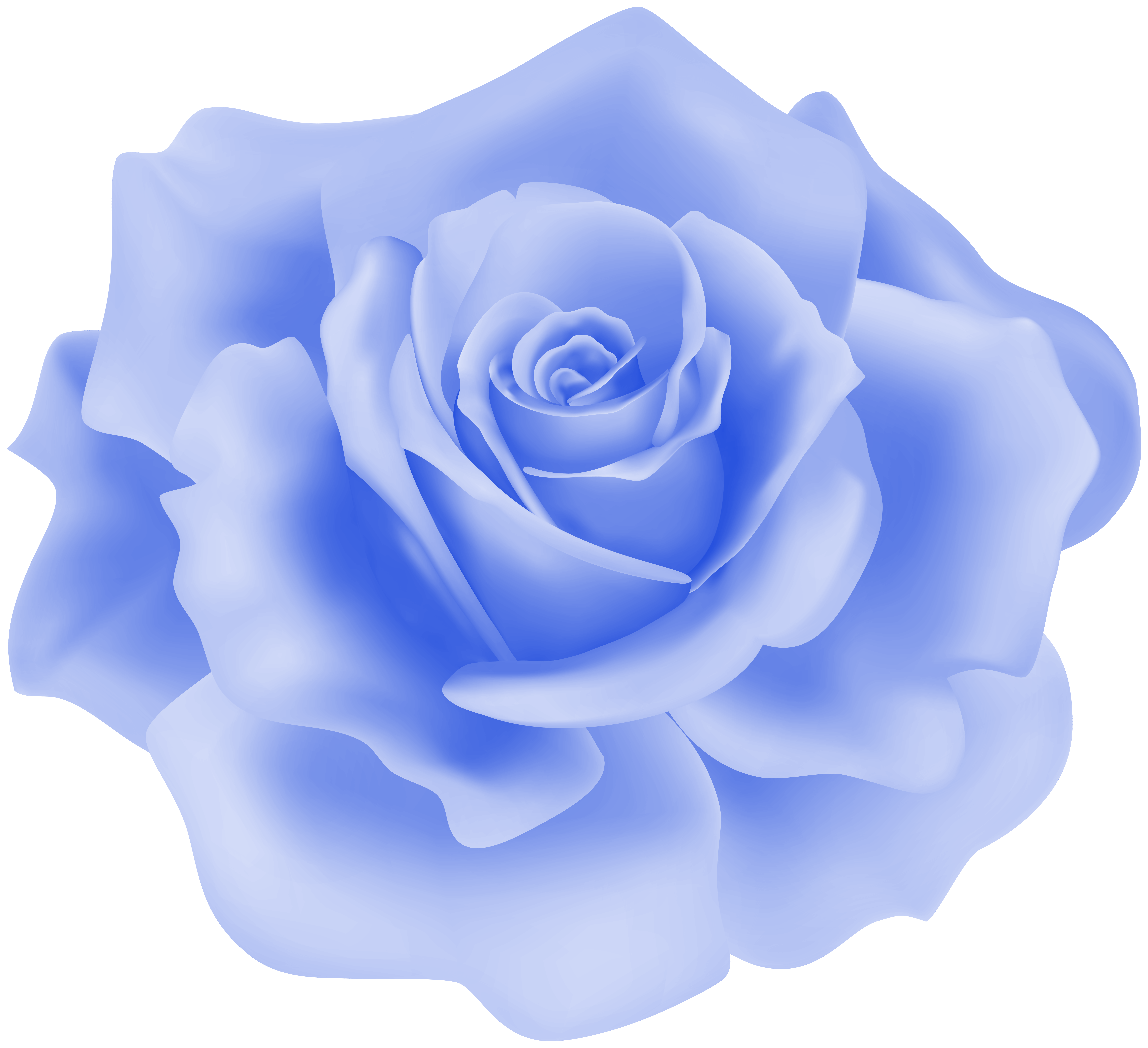 Delicate Blue Rose PNG Clipart | Gallery Yopriceville - High-Quality