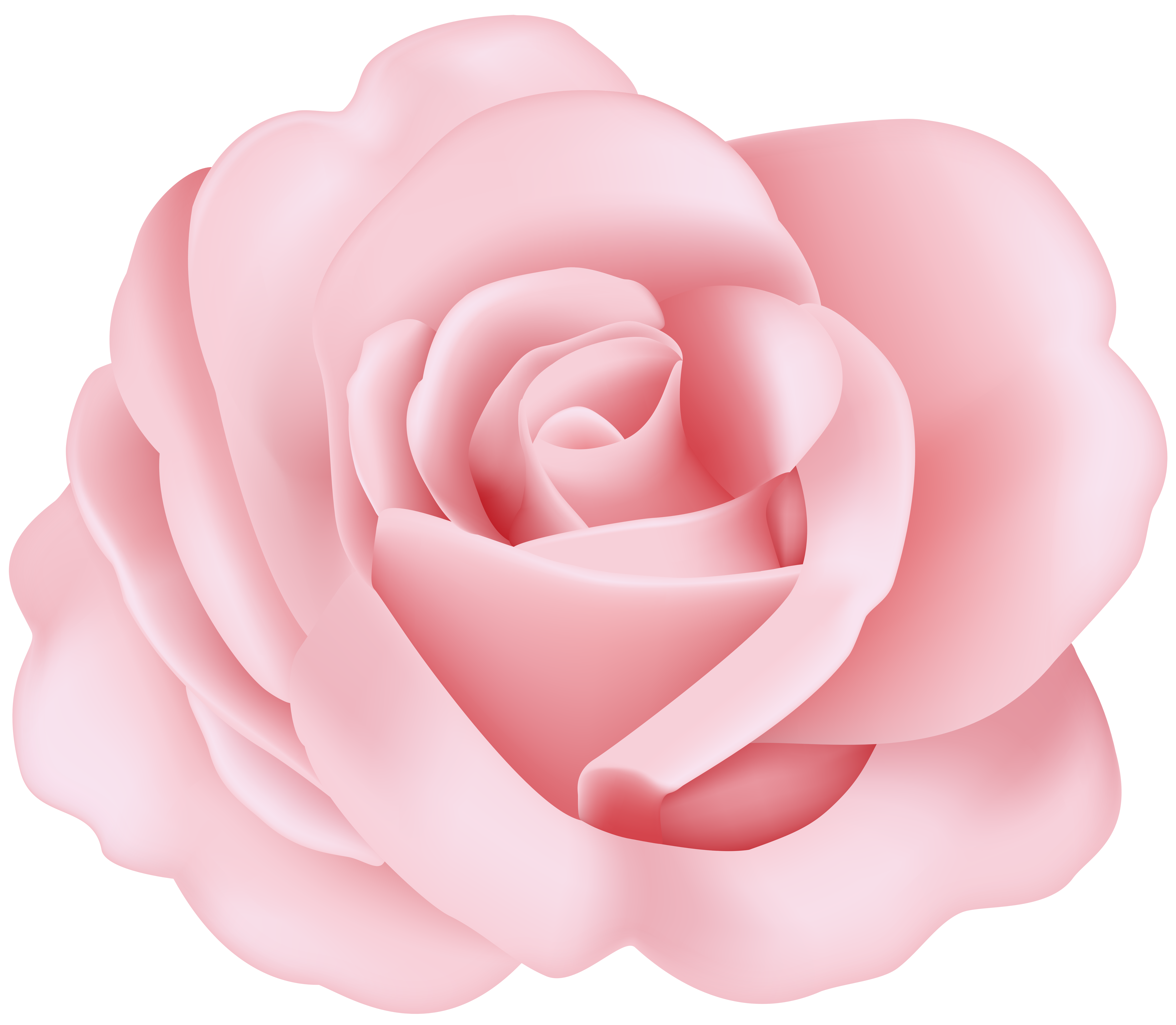 Flower Rose Pink Transparent Image Gallery Yopriceville High Quality Images And Transparent Png Free Clipart Flower Rose Pink Transparent Image Gallery Yopriceville High Quality Images And Transparent Png Free Clipart