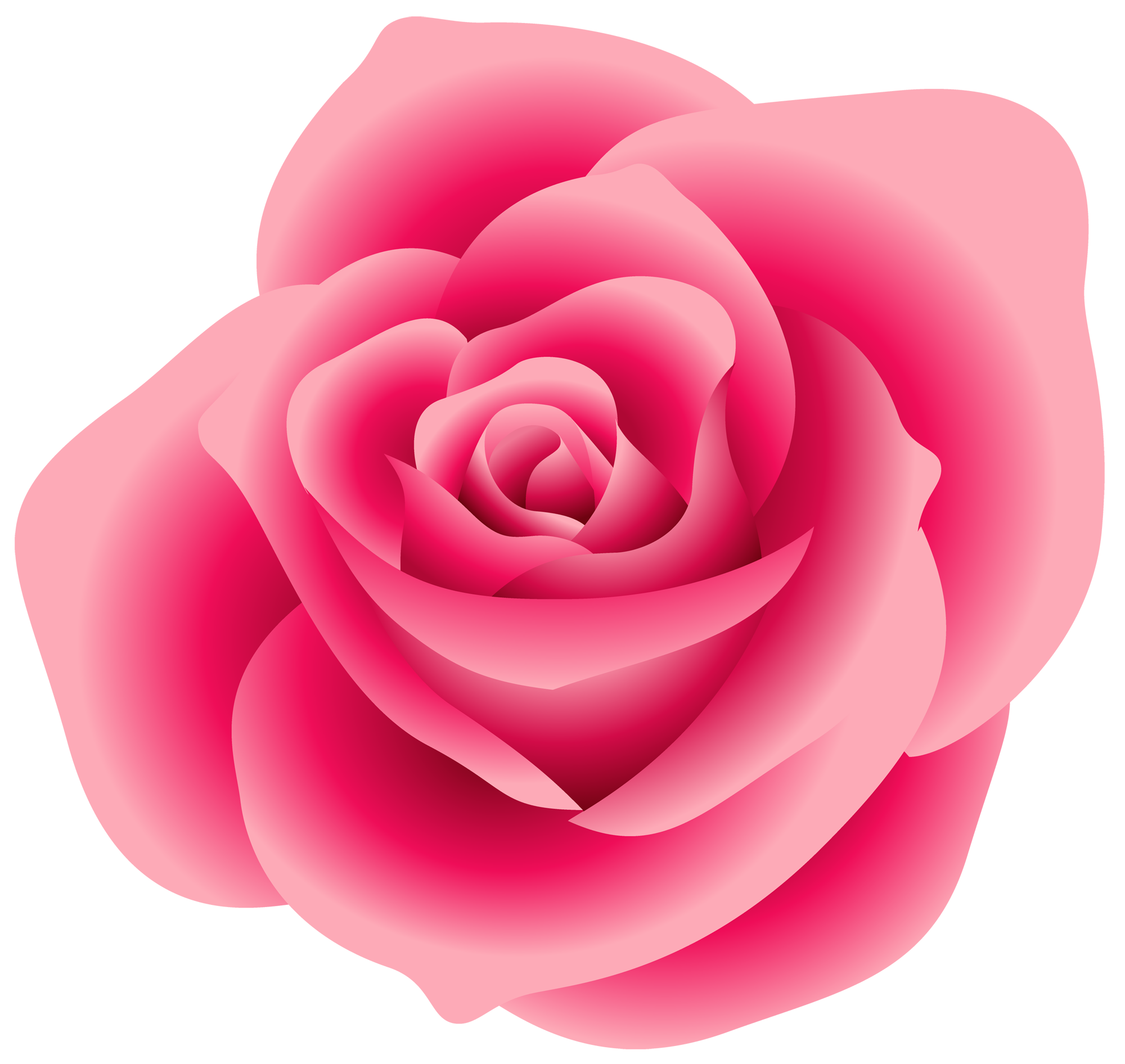 Pink Rose Clipart