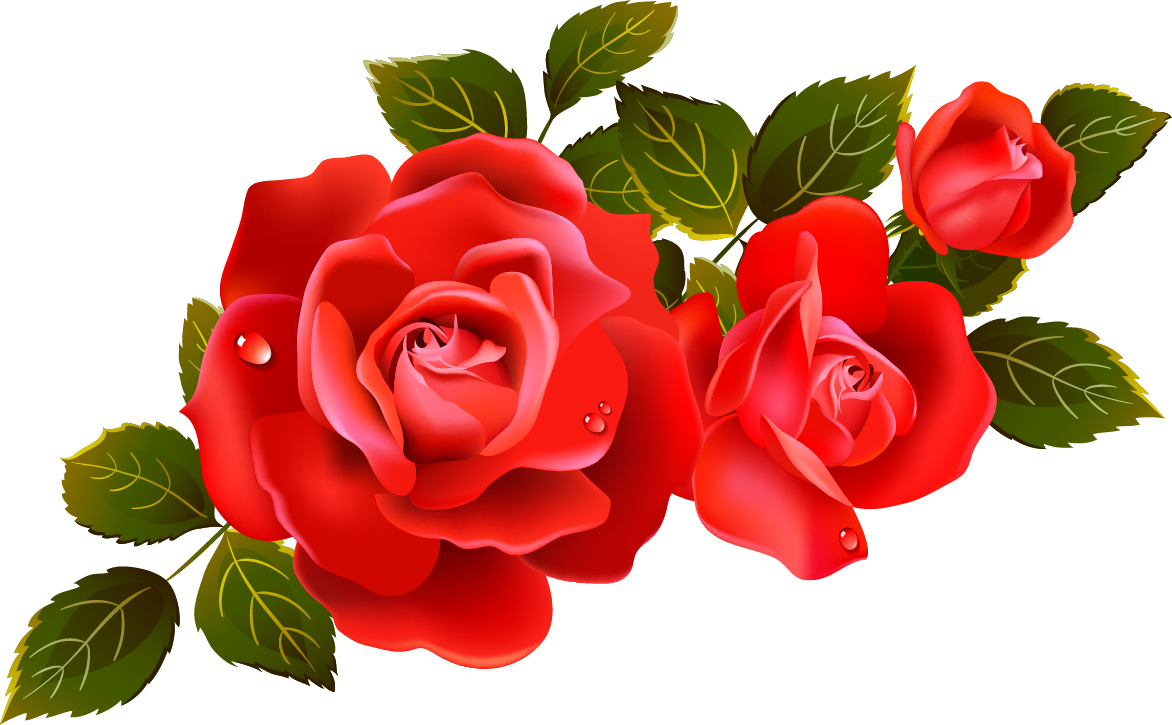 bouquet of red roses clip art