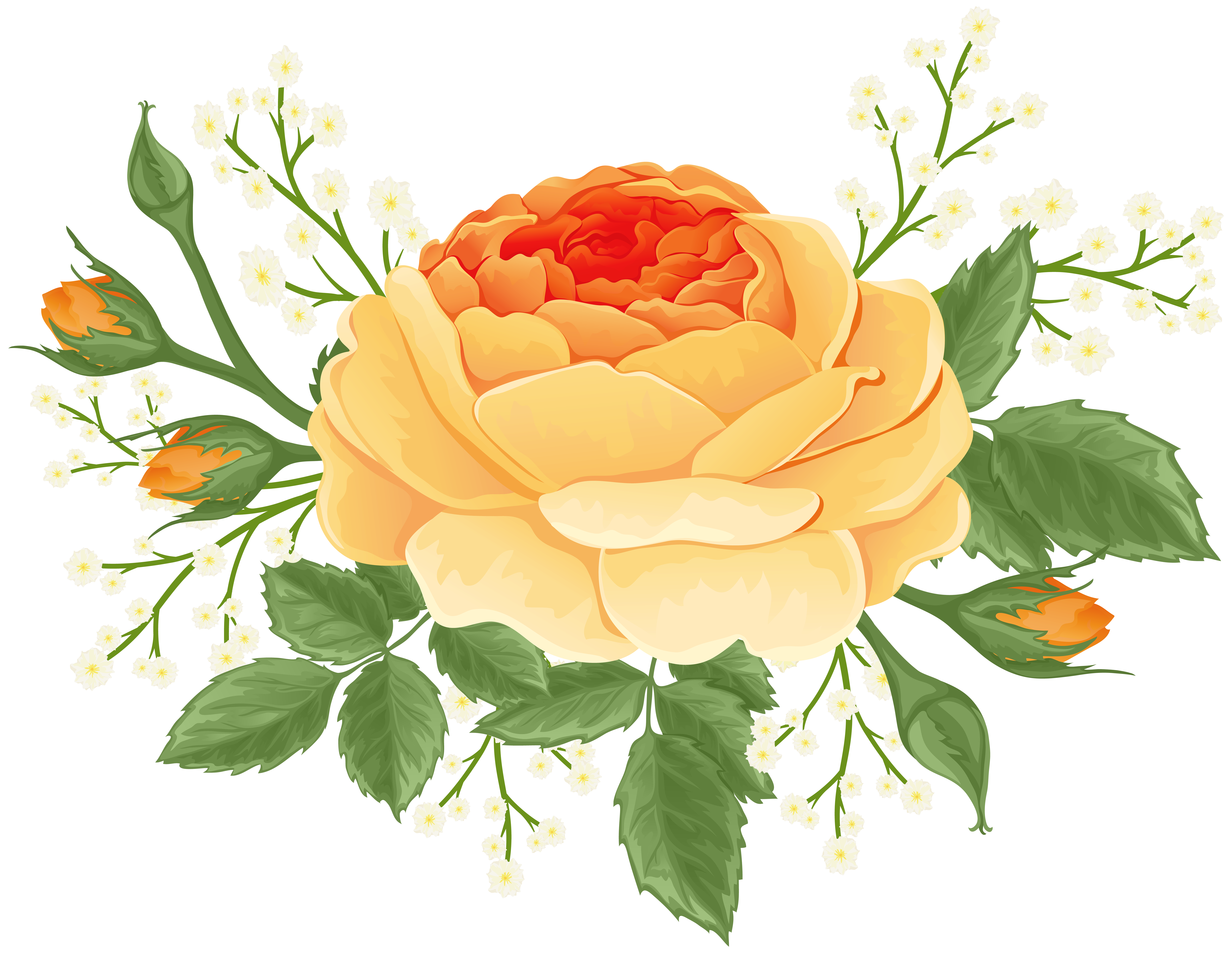 Orange Rose with White Flowers PNG Clip Art Image ...