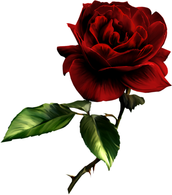 Painted Red Rose Clipart | Gallery Yopriceville - High-Quality Images