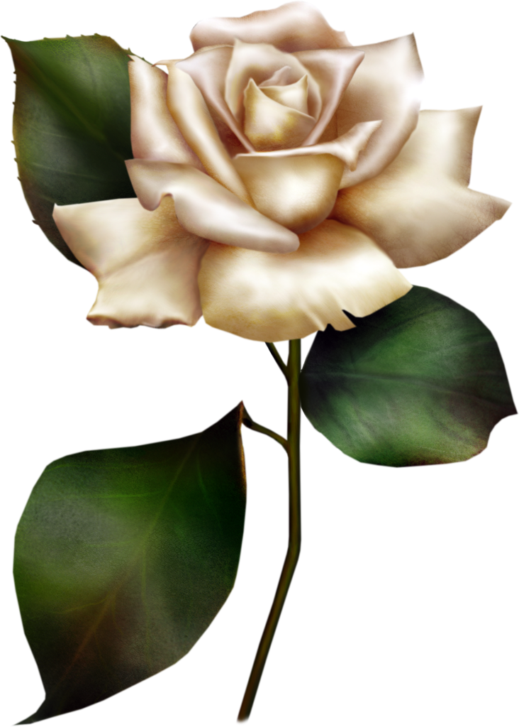 Painted White Rose Clipart | Gallery Yopriceville - High-Quality Free Images and Transparent PNG Clipart Painted White Rose Clipart | Gallery Yopriceville - High-Quality Free Images and Transparent PNG Clipart