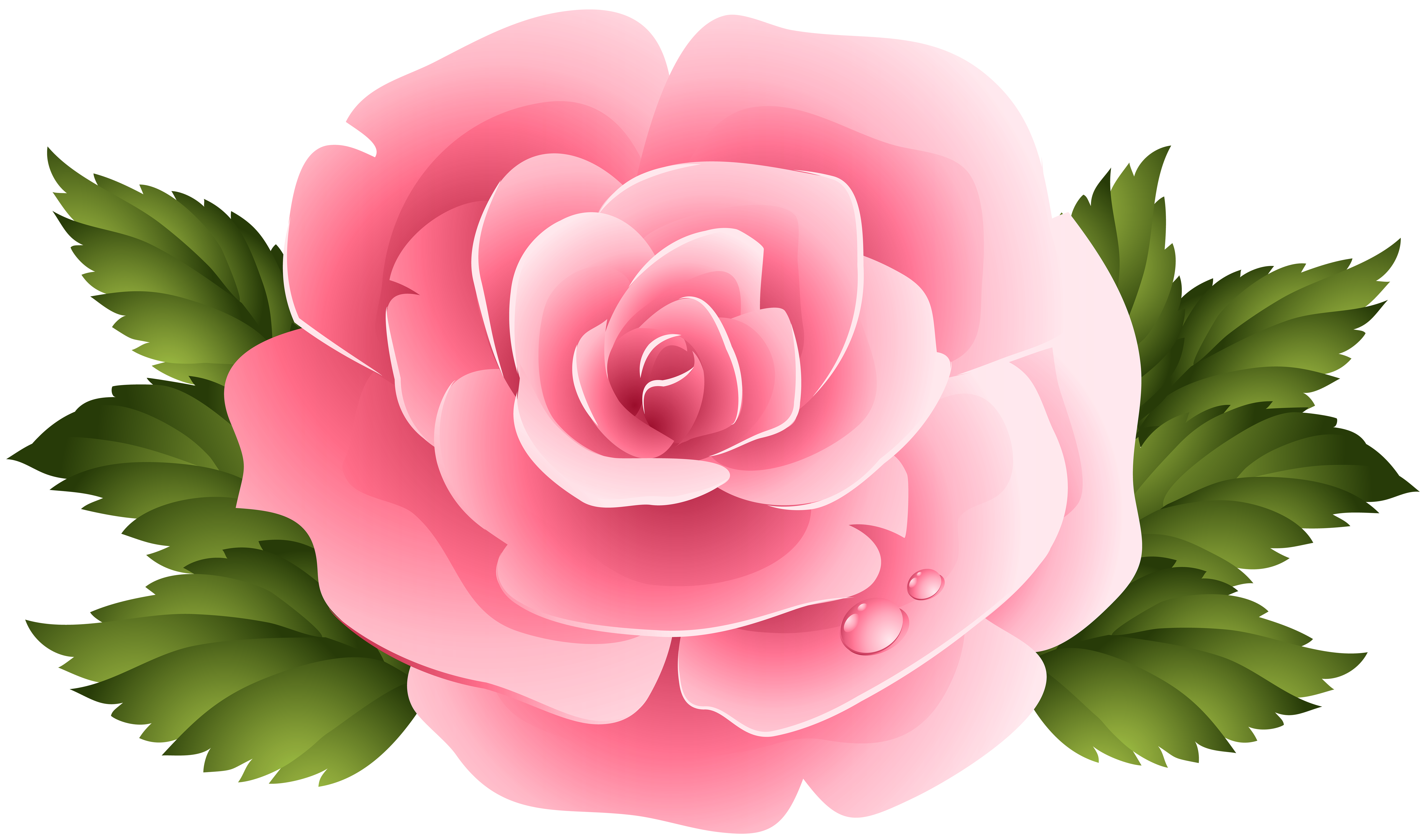 pink roses clipart