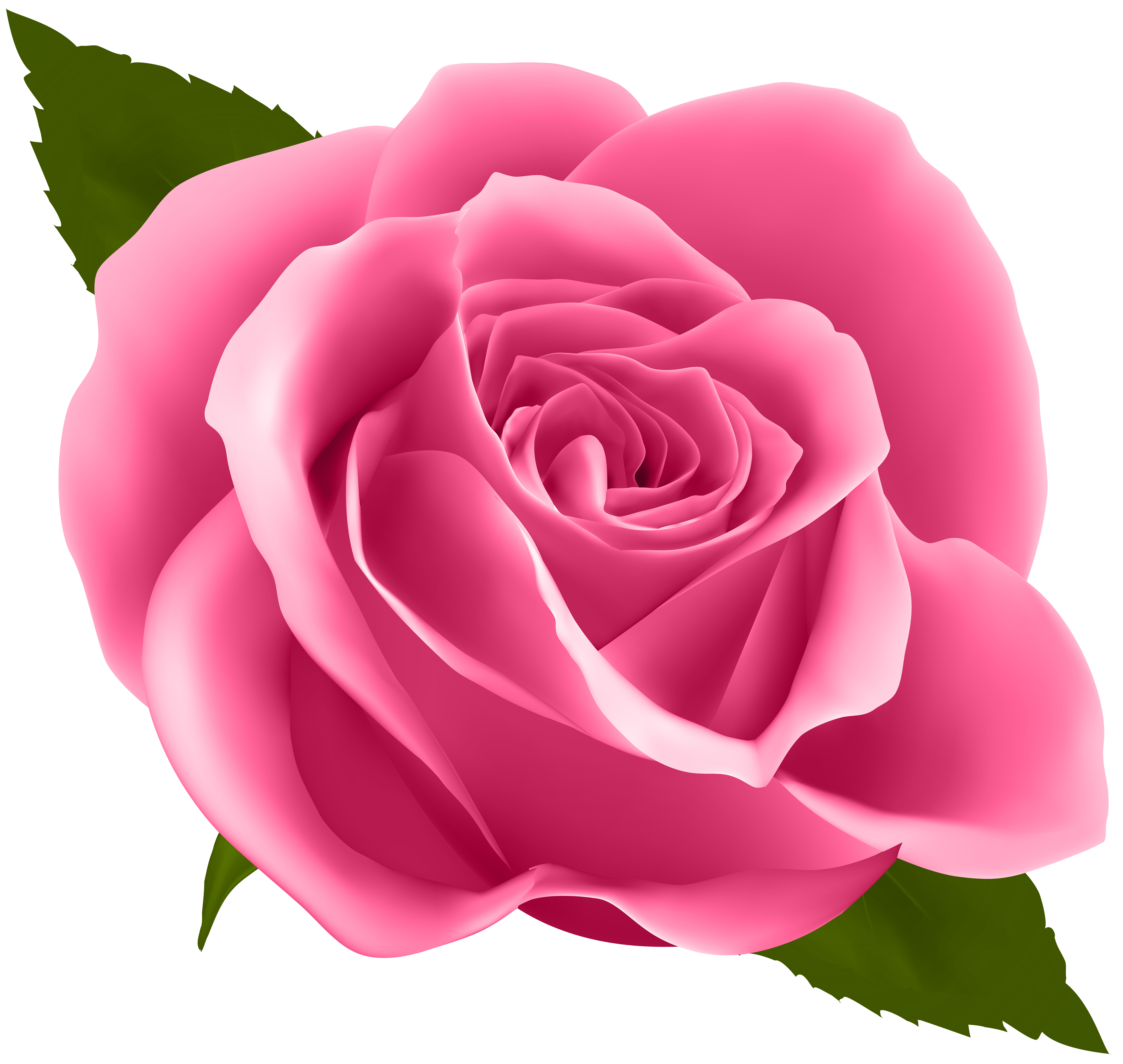 Pink Rose PNG Clip Art Image | Gallery Yopriceville - High ...
