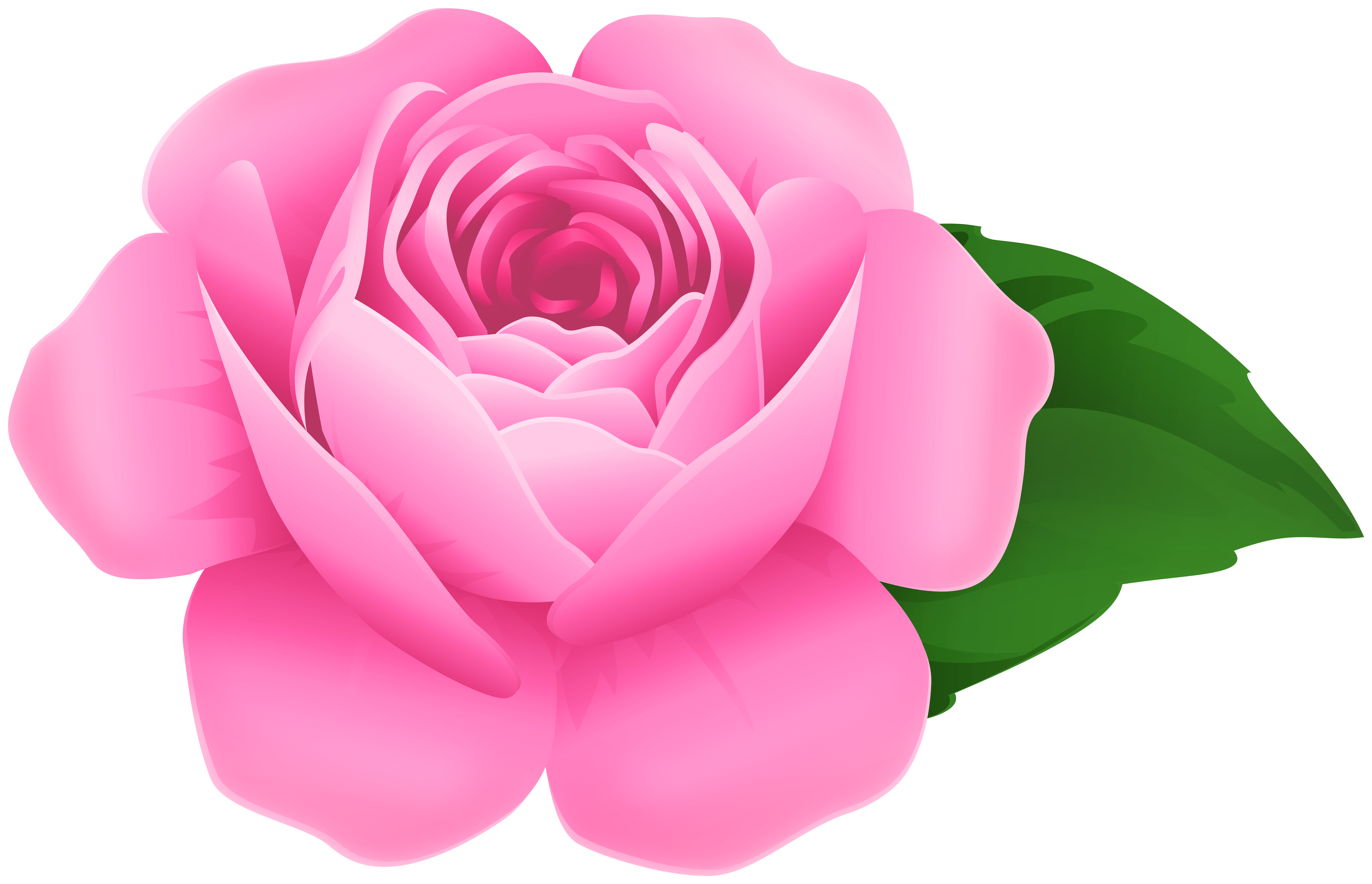 Top 72+ imagen pink rose transparent background 