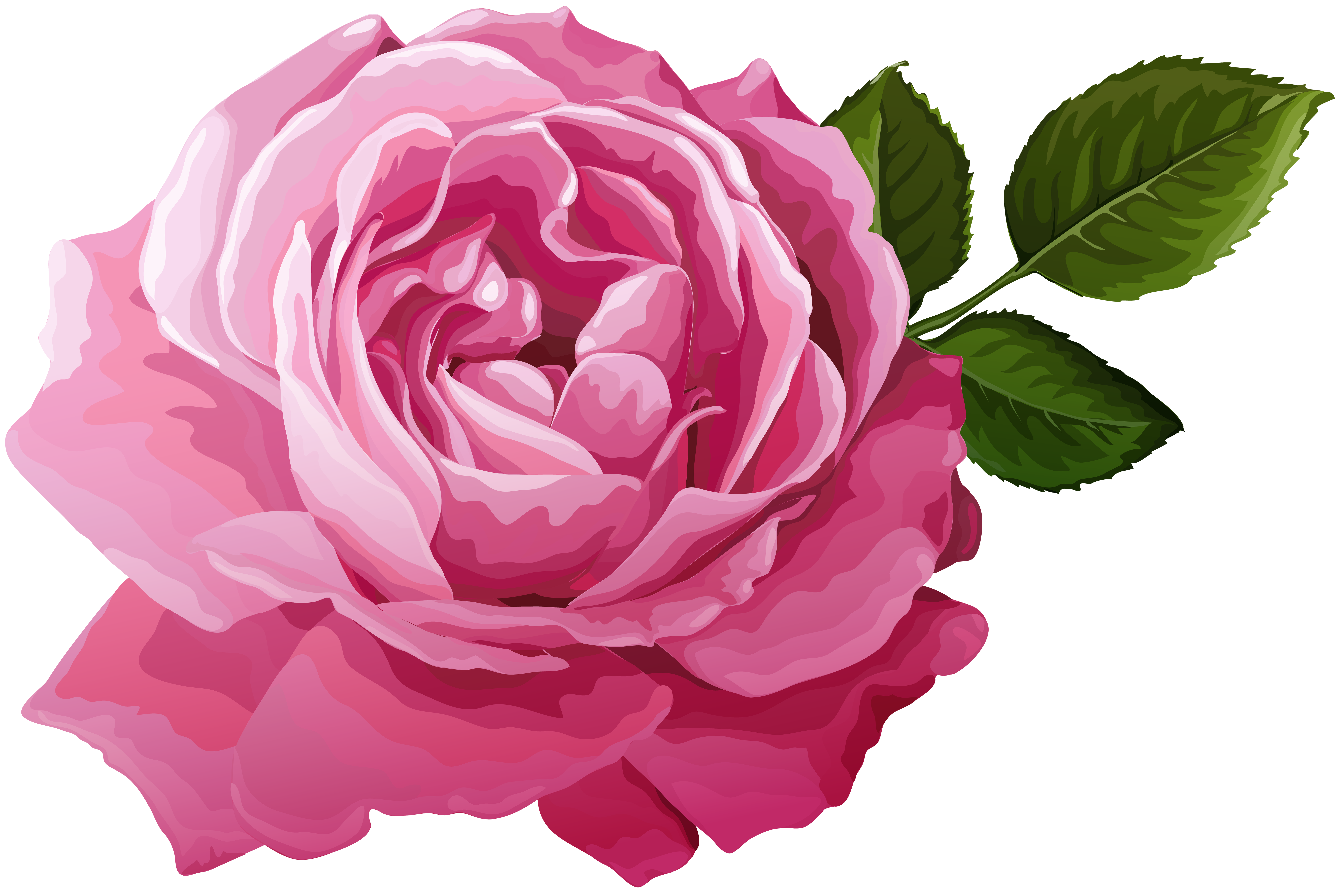 Pink Background with Pink Roses​  Gallery Yopriceville - High-Quality Free  Images and Transparent PNG Clipart