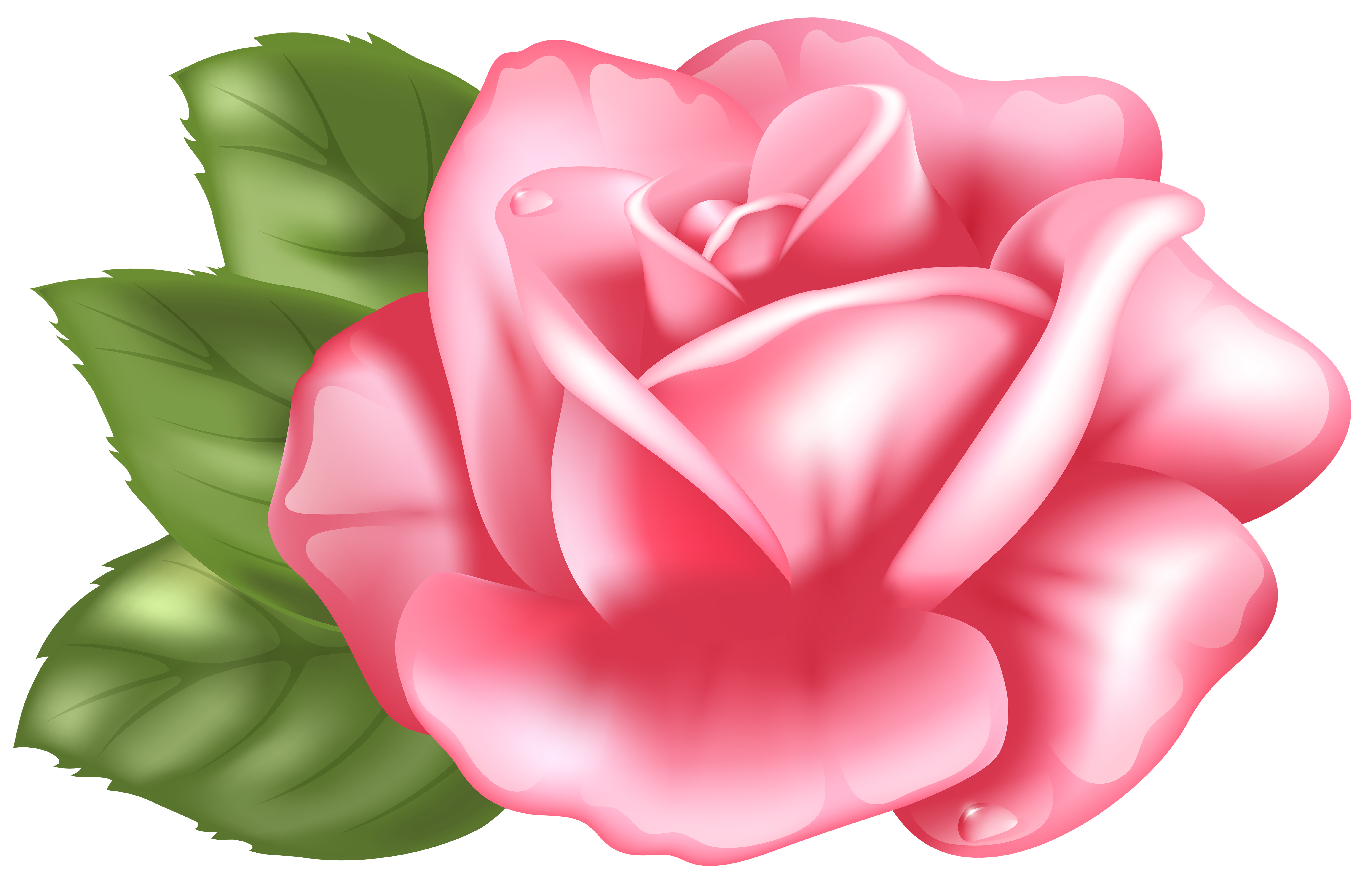 Pink Background with Pink Roses​  Gallery Yopriceville - High-Quality Free  Images and Transparent PNG Clipart