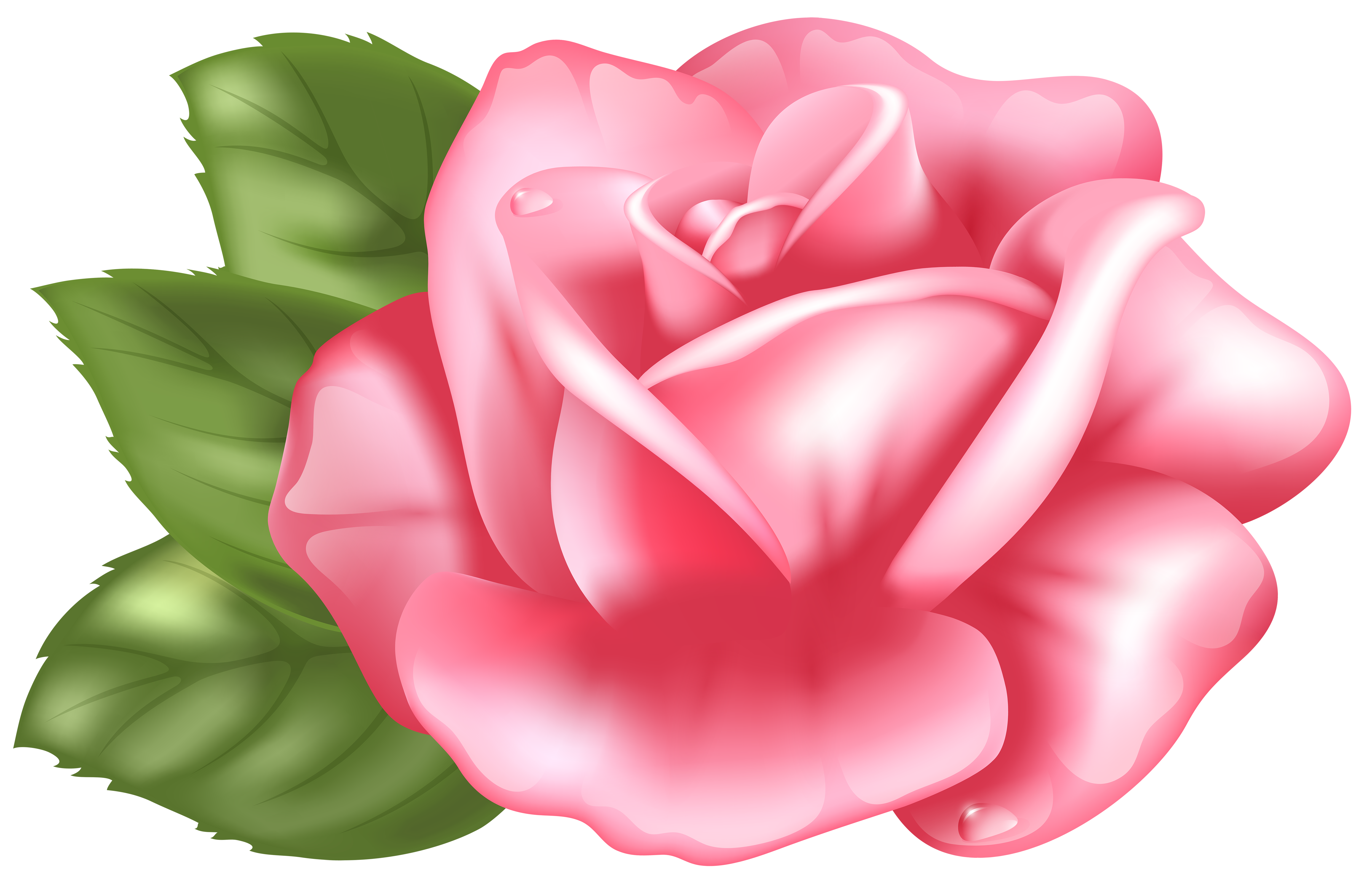 Flower Pink Transparent Image​  Gallery Yopriceville - High-Quality Free  Images and Transparent PNG Clipart