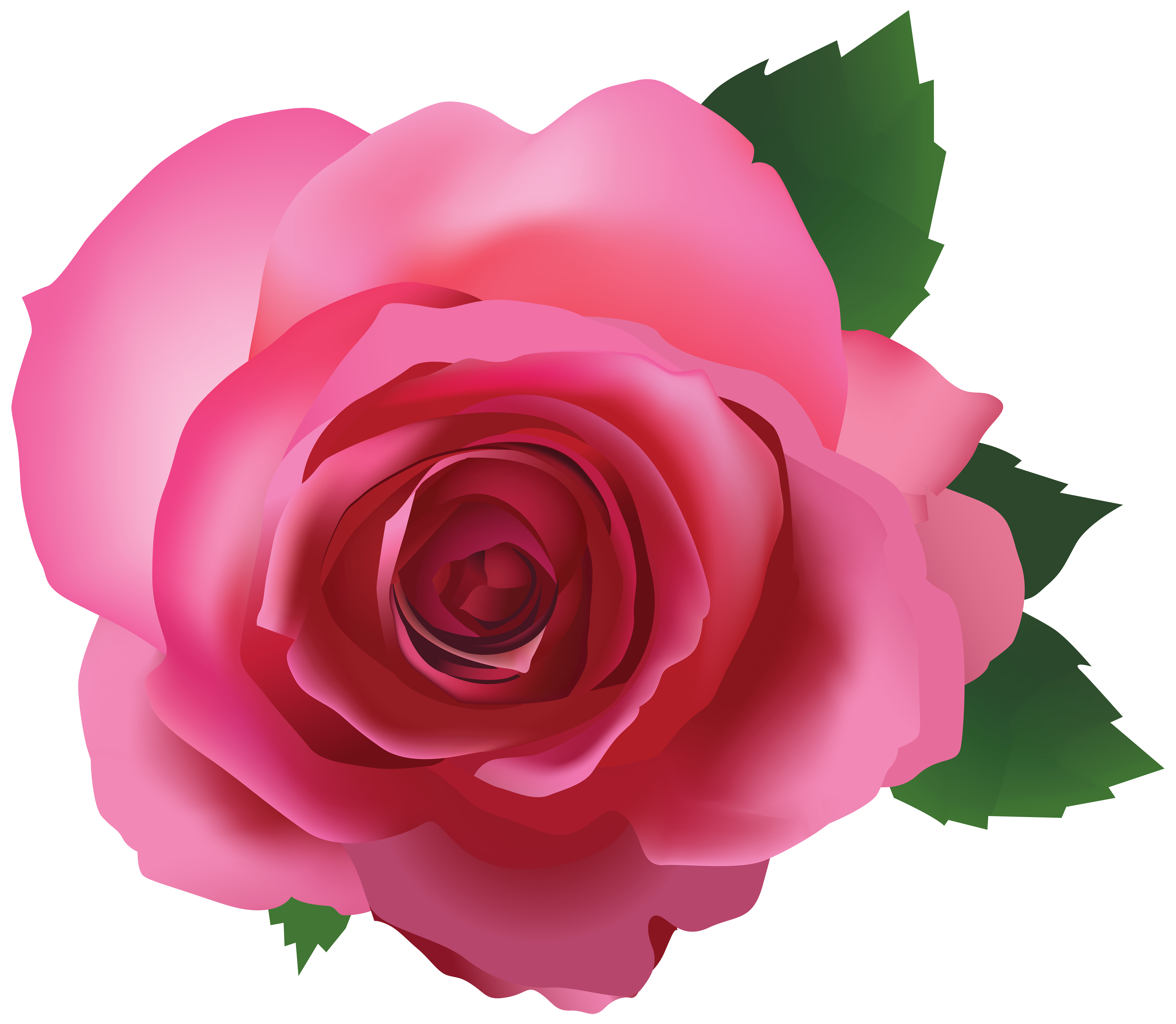 Pink Rose Transparent PNG Image​ | Gallery Yopriceville - High ...