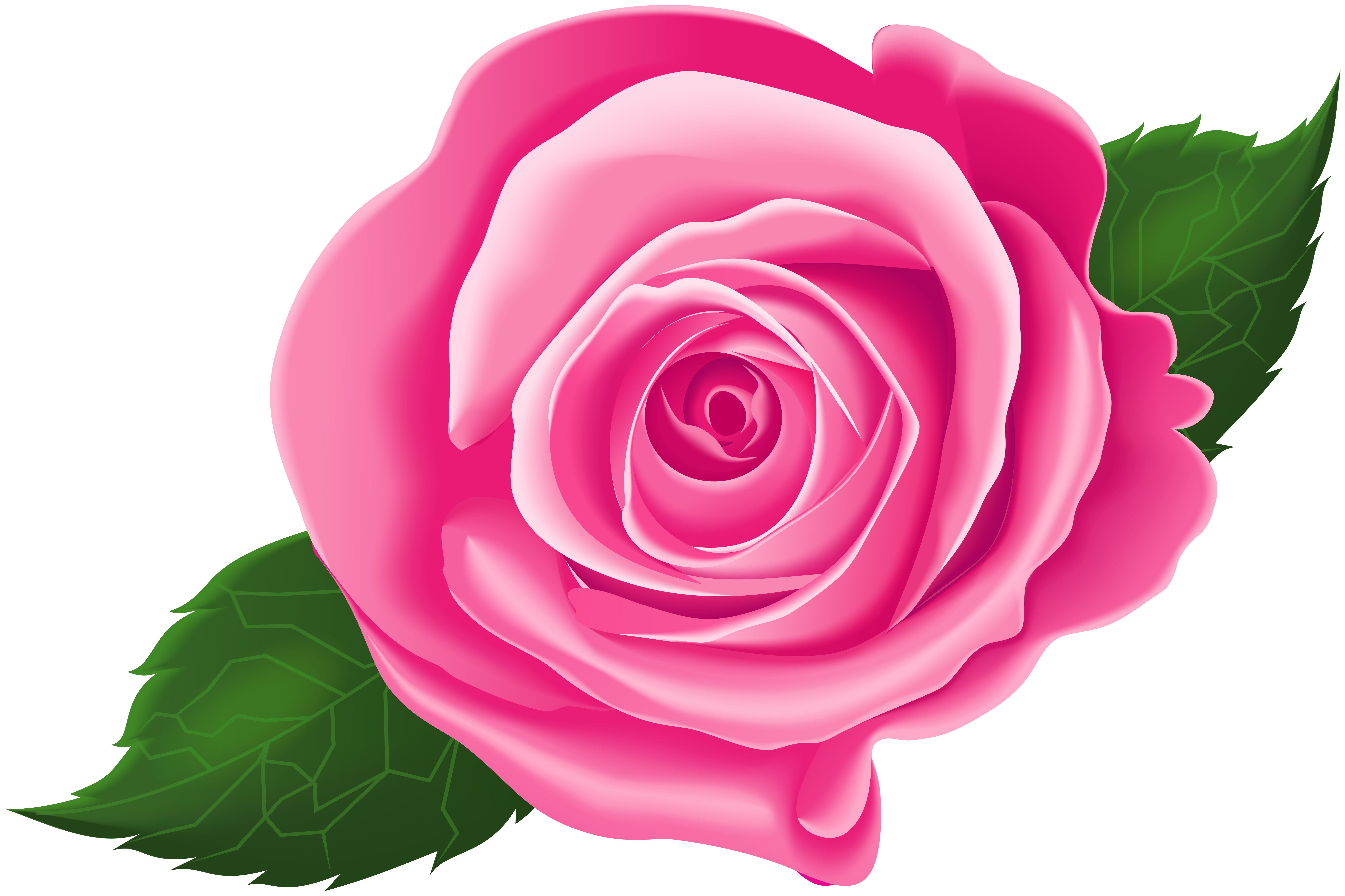 Pink Rose with Leaves PNG Clip Art Image | Gallery ...