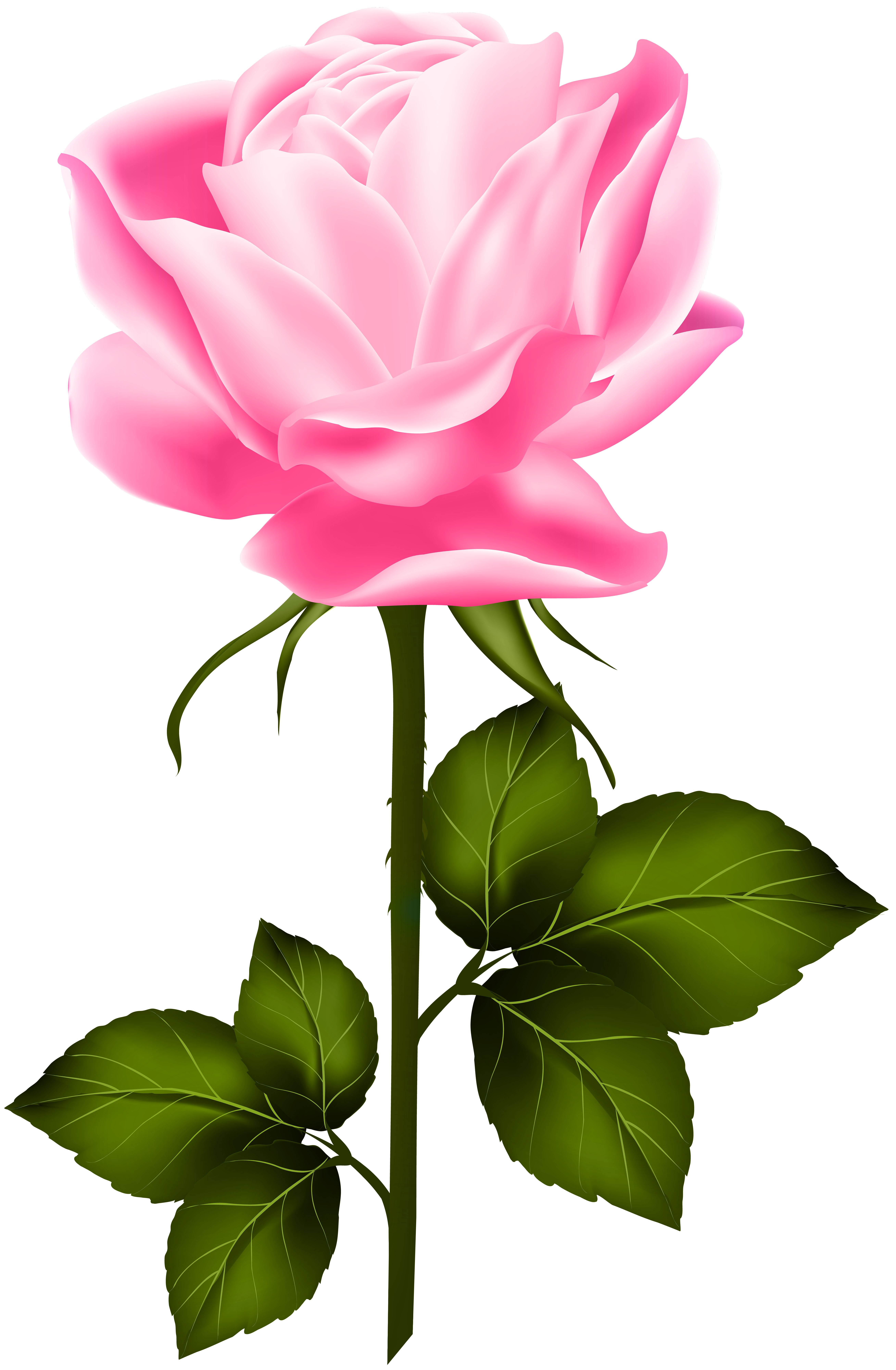 Pink Rose with Stem PNG Clip Art | Gallery Yopriceville ...