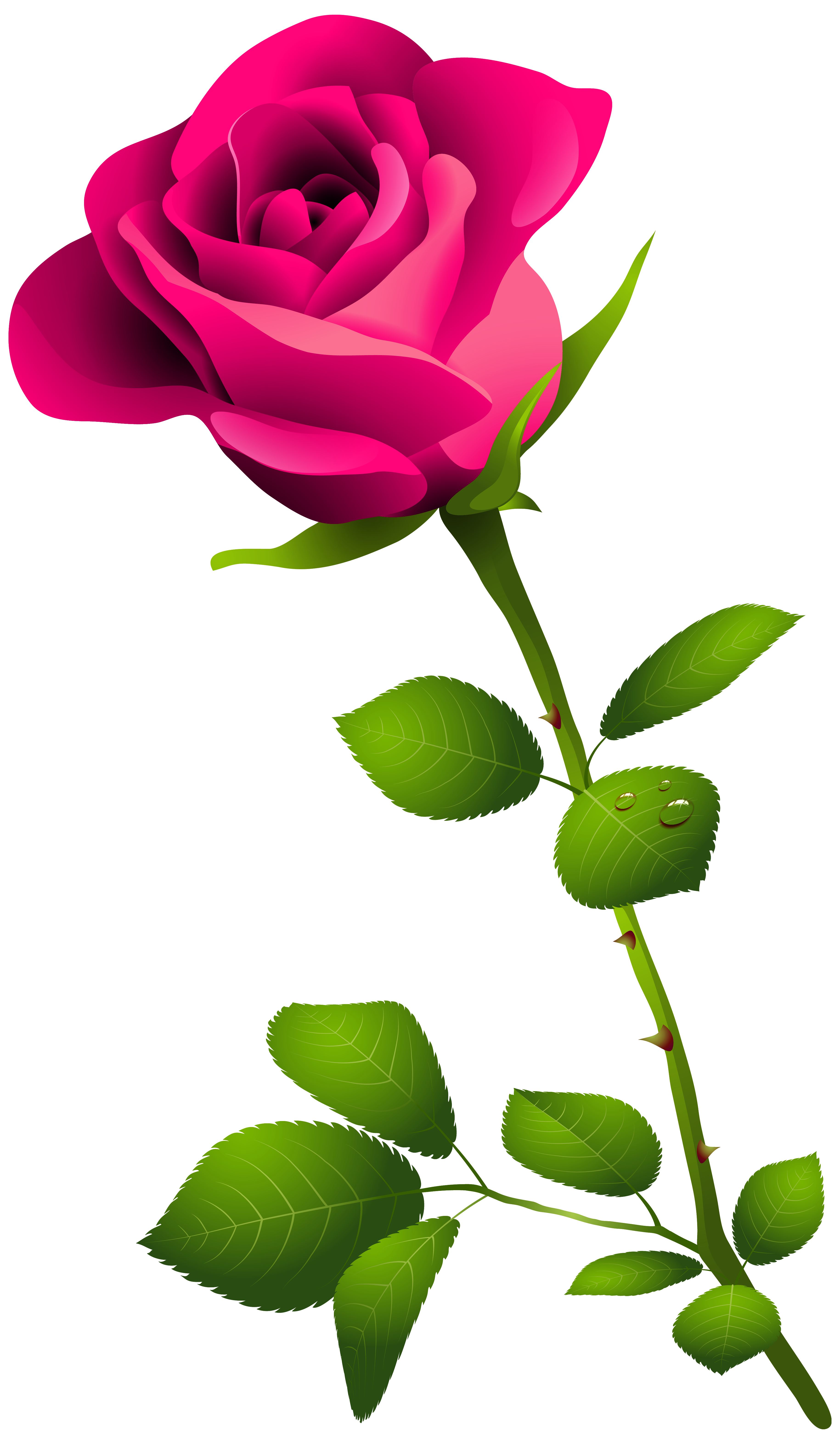 Pink Rose with Stem PNG Clipart Image | Gallery ...