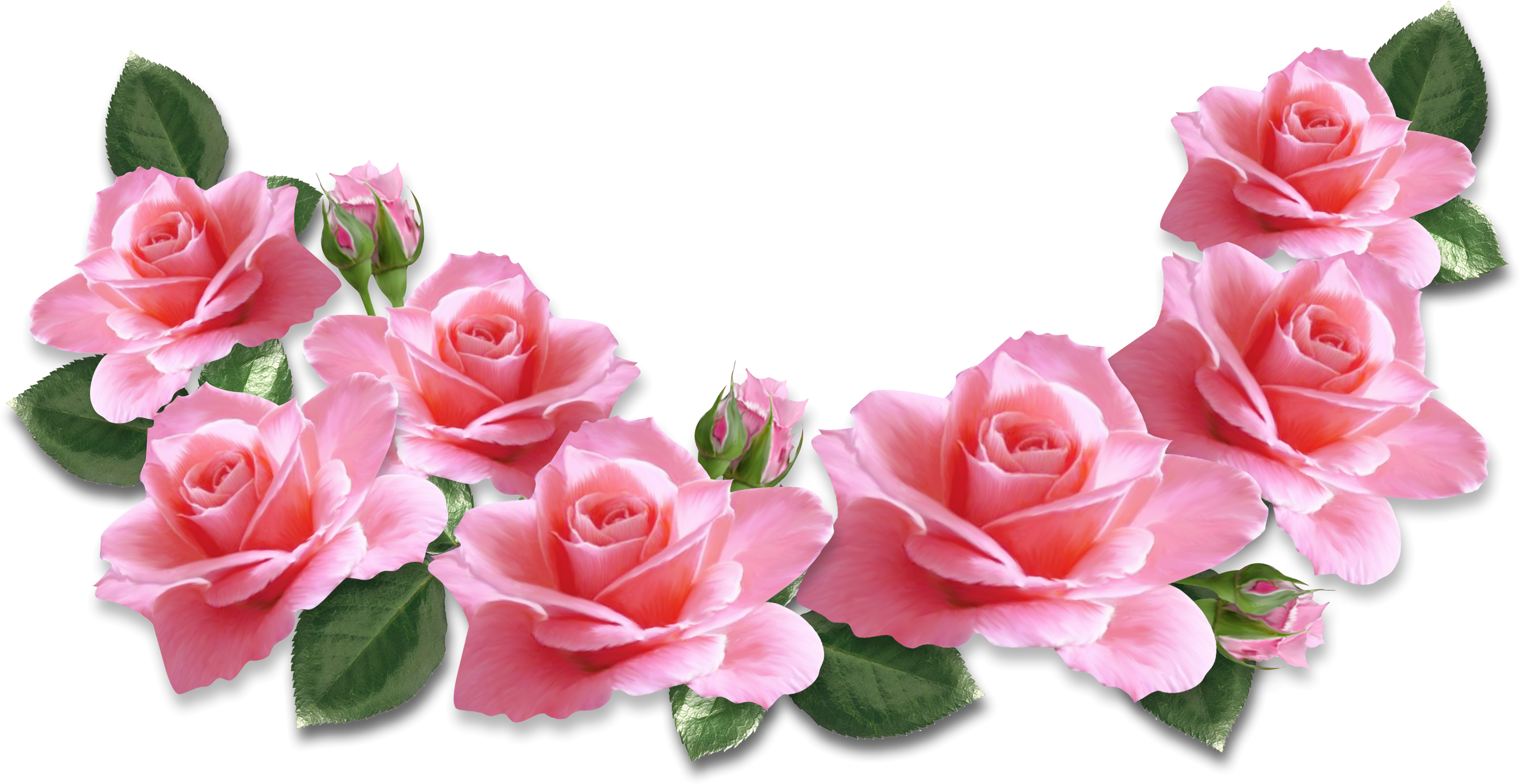 Pink Roses Decoration Png Clipart Image Gallery Yopriceville High Quality Images And Transparent Png Free Clipart