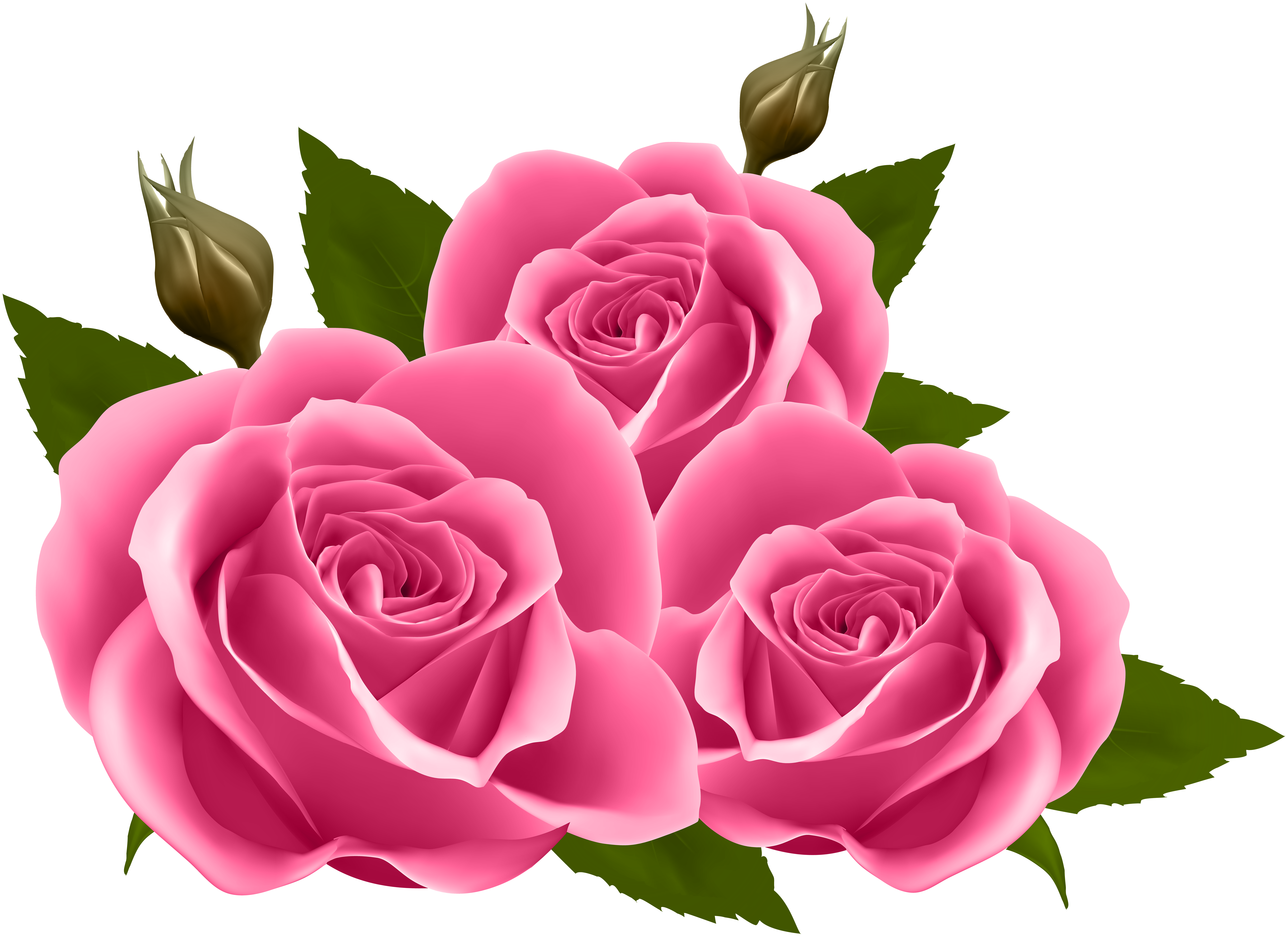 Pink Roses Png Clip Art Image Gallery Yopriceville High Quality Images And Transparent Png Free Clipart